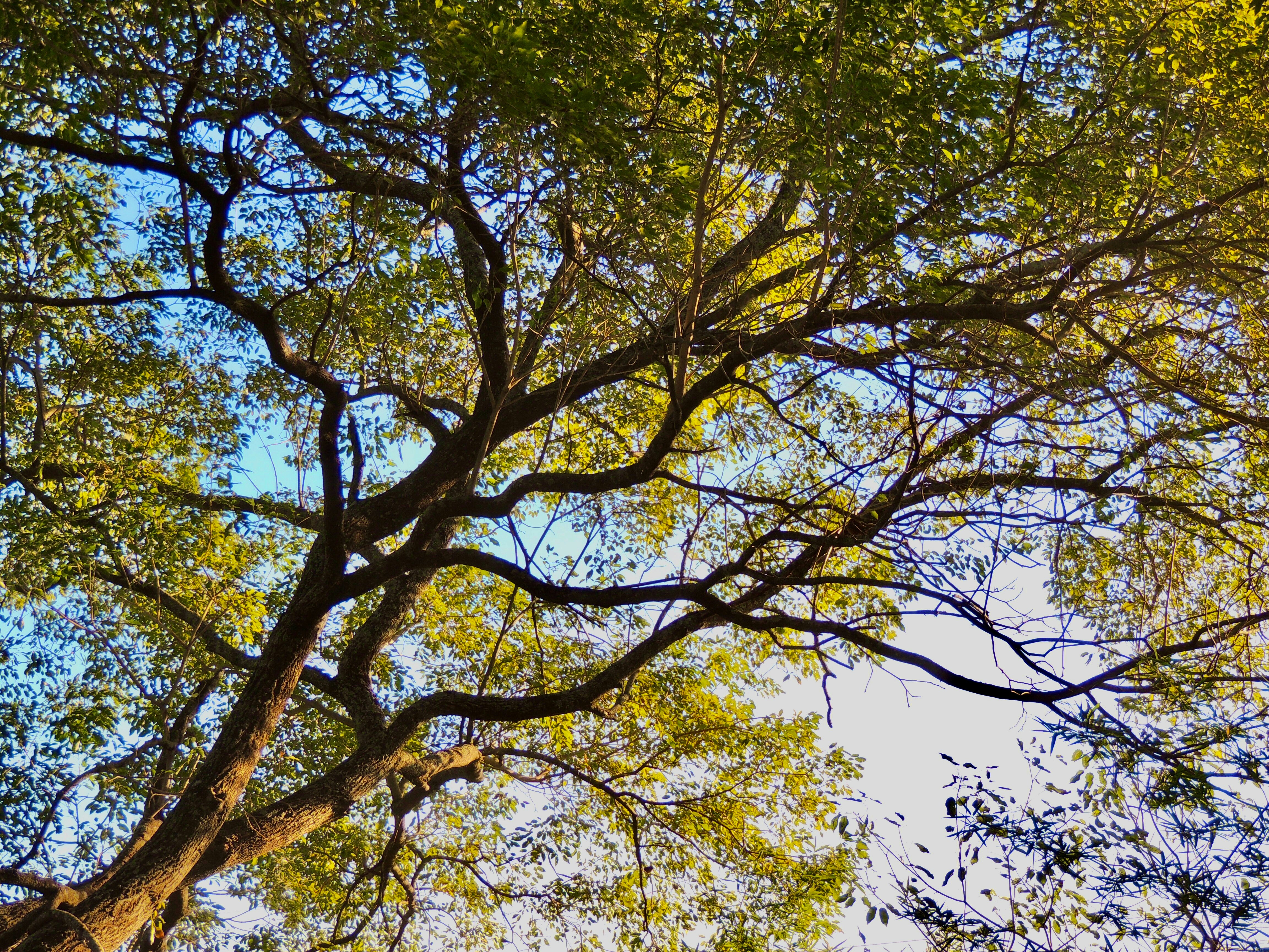 Photo by sunshinestudio82