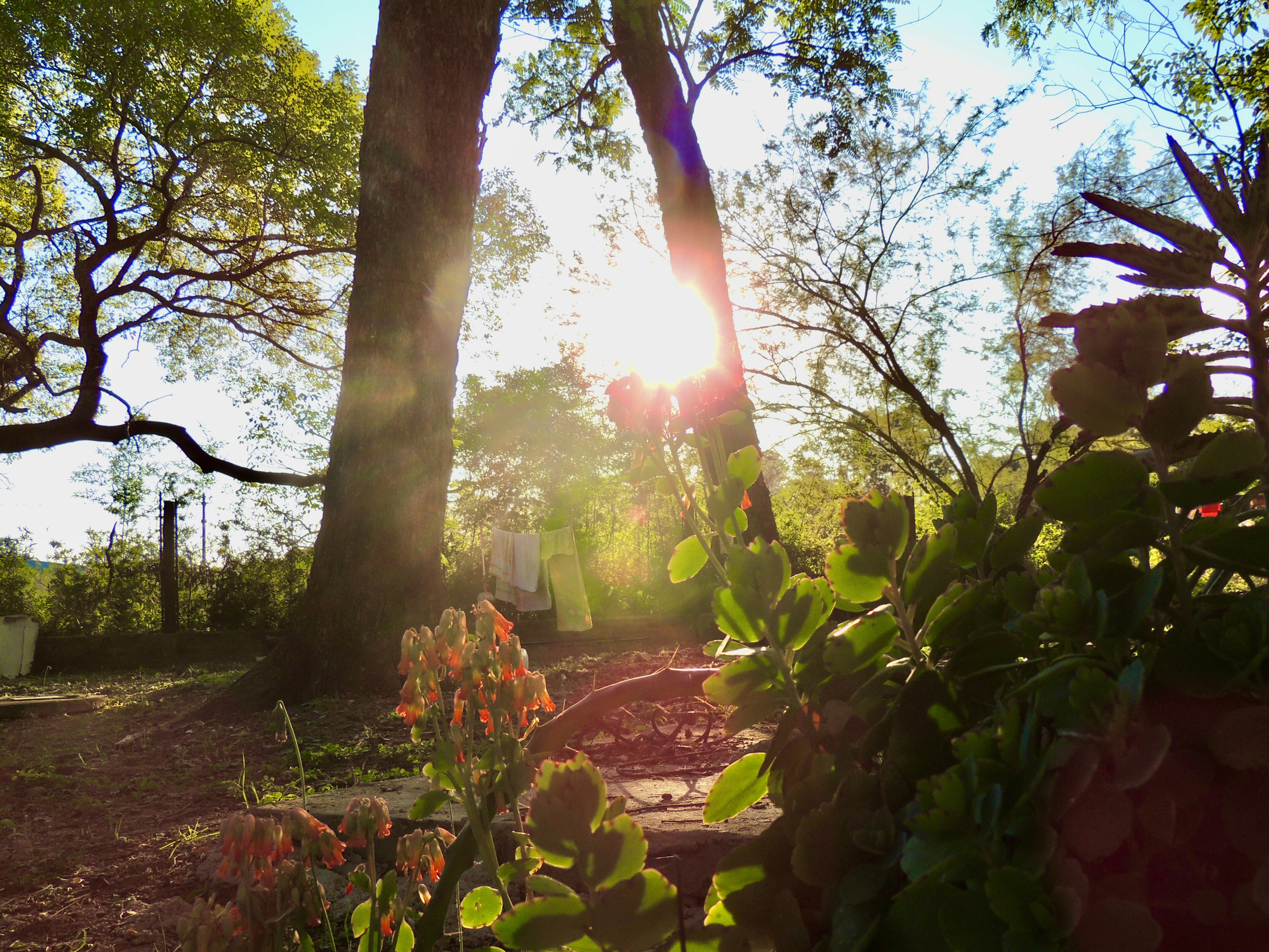 Photo by sunshinestudio82