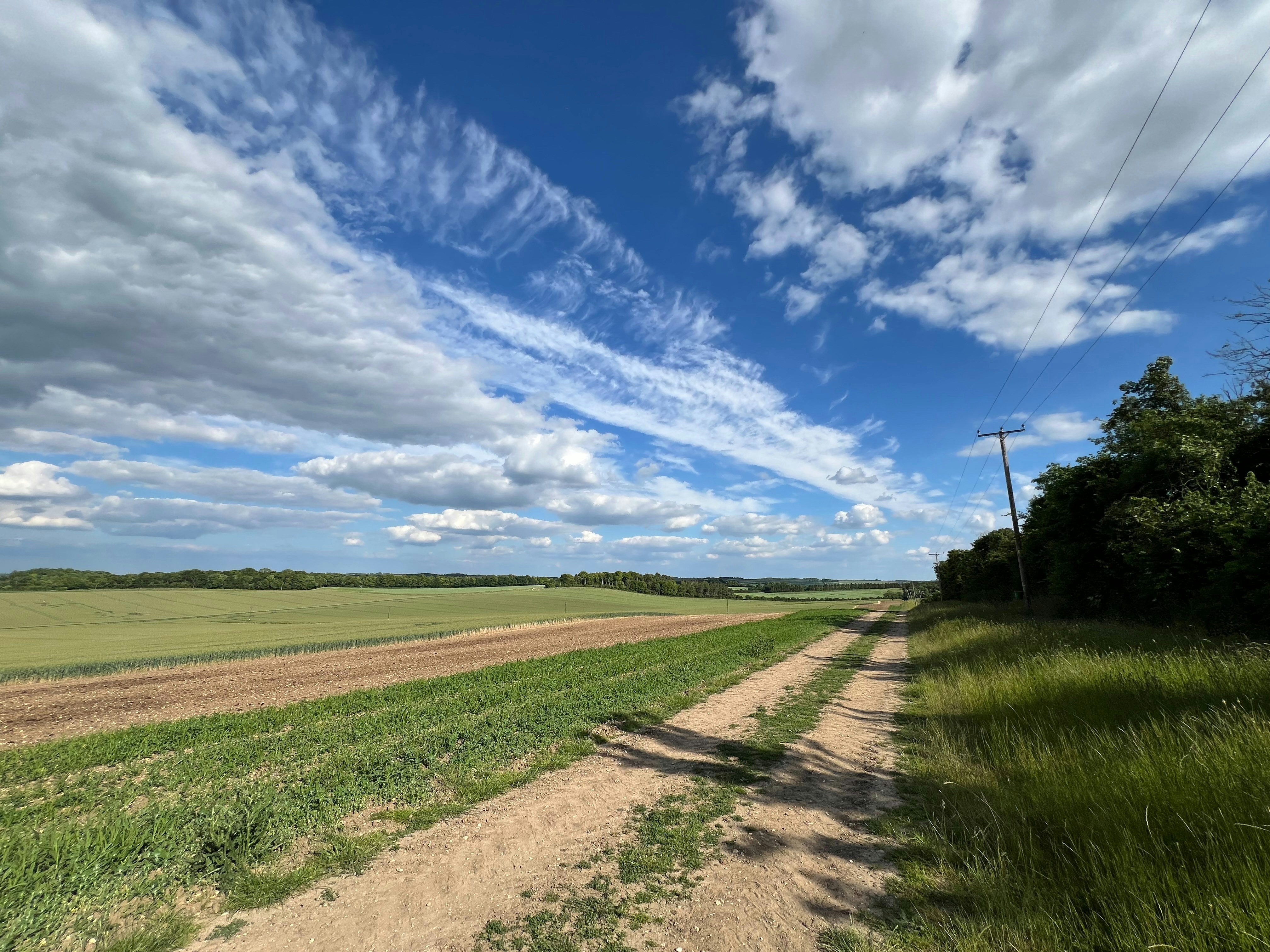 Photo by colin_p_hills_photography