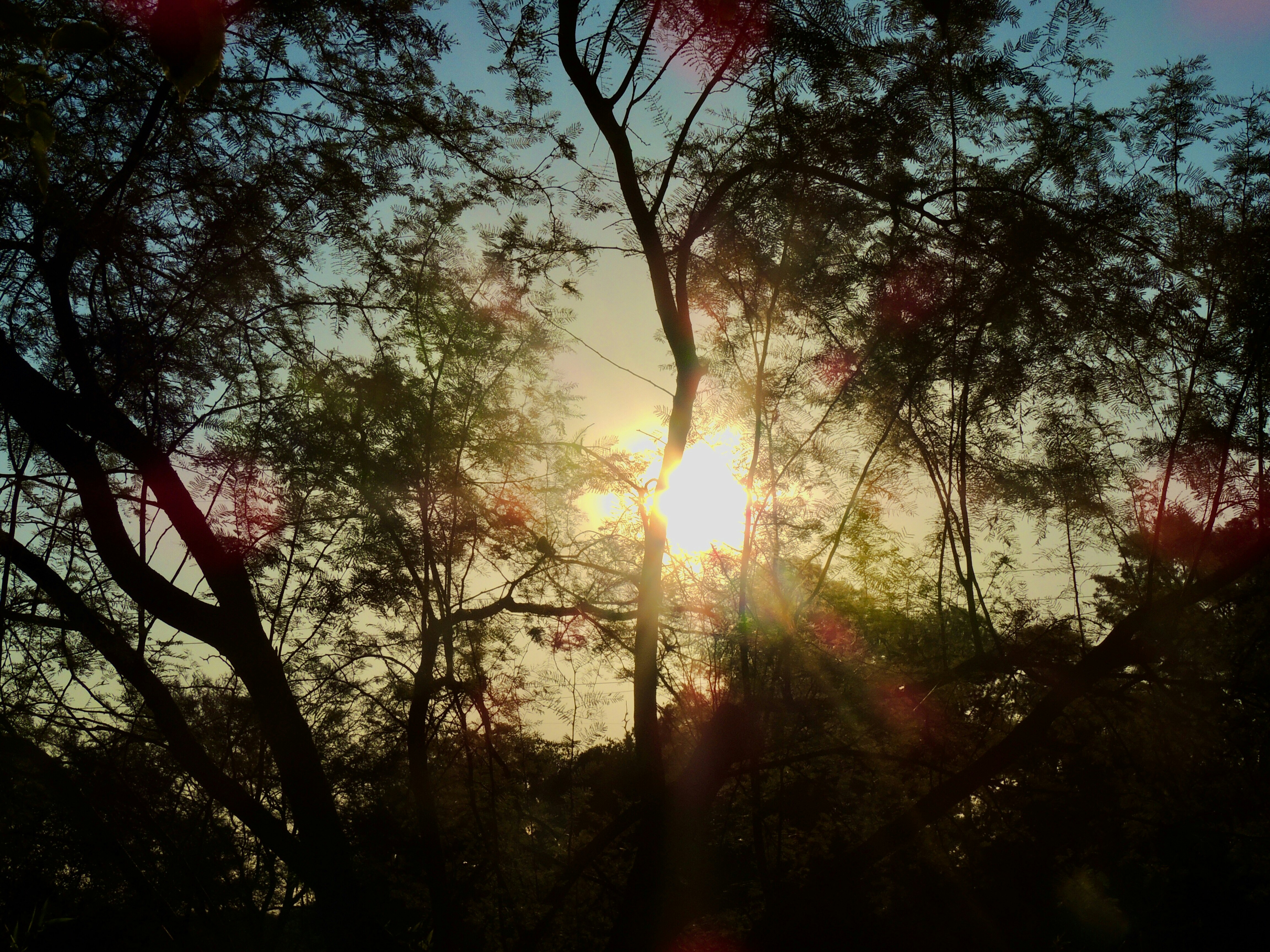 Photo by sunshinestudio82