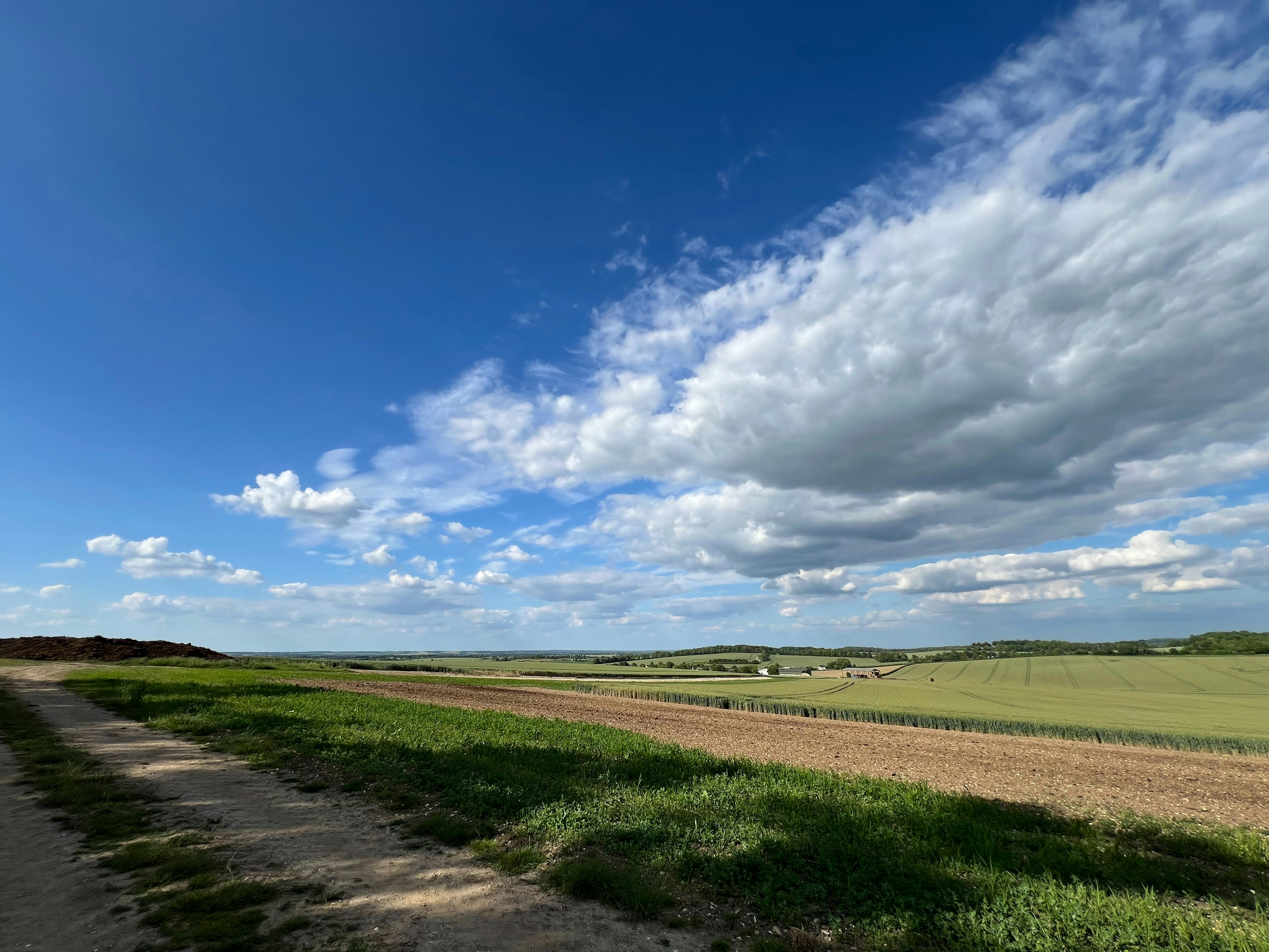 Photo by colin_p_hills_photography