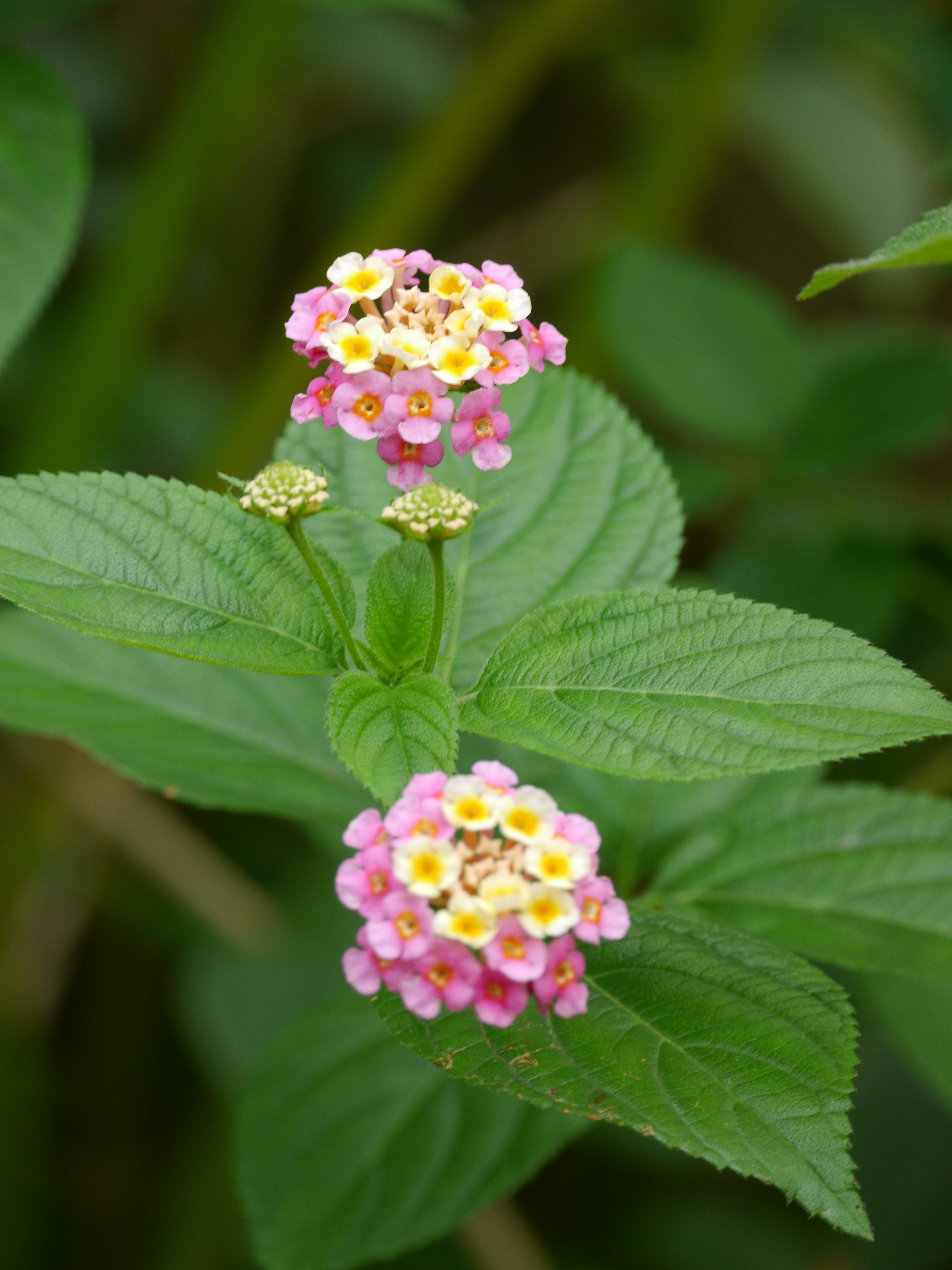 Photo by iqsphotography