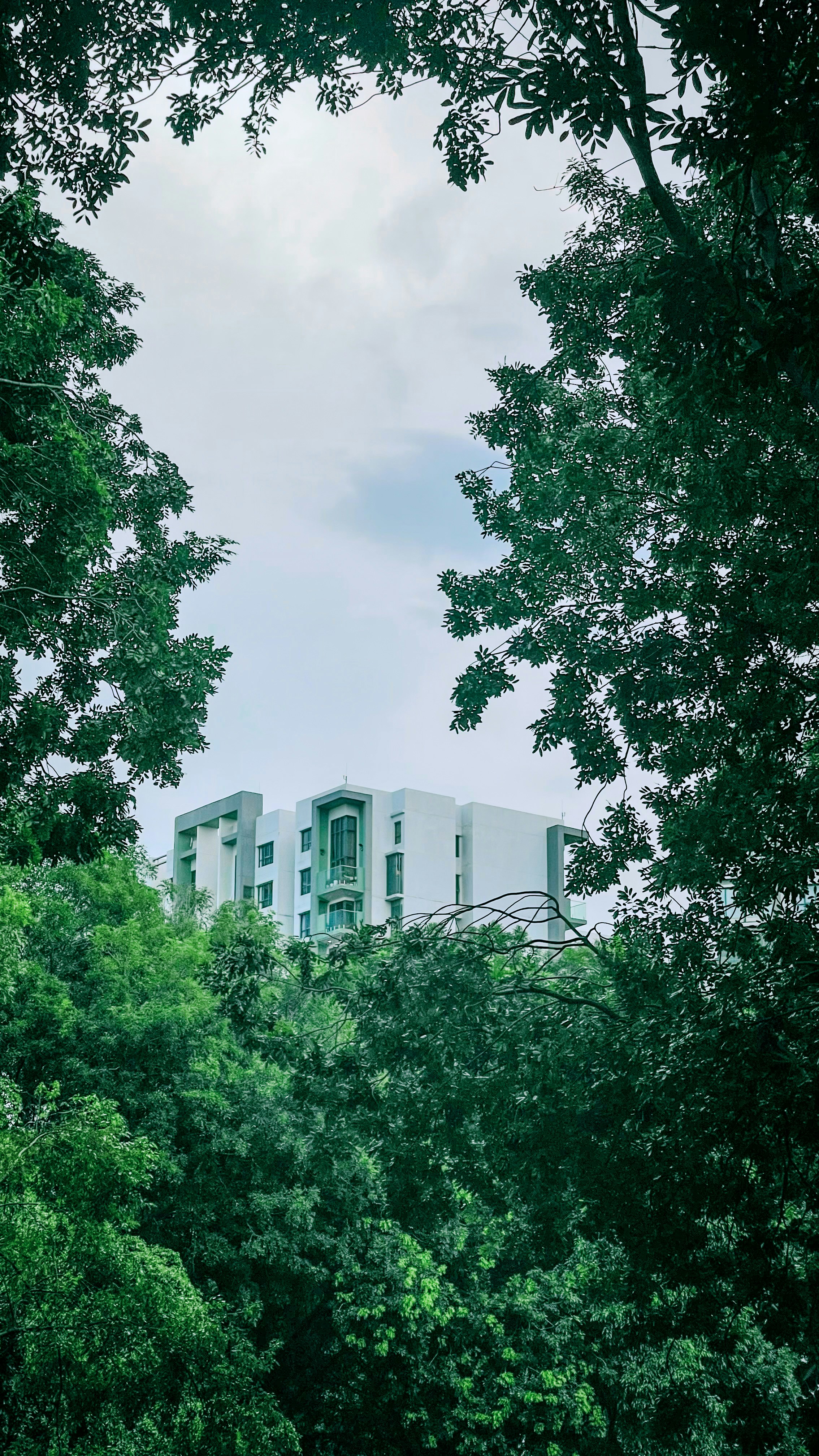 Photo by duongmauxanh