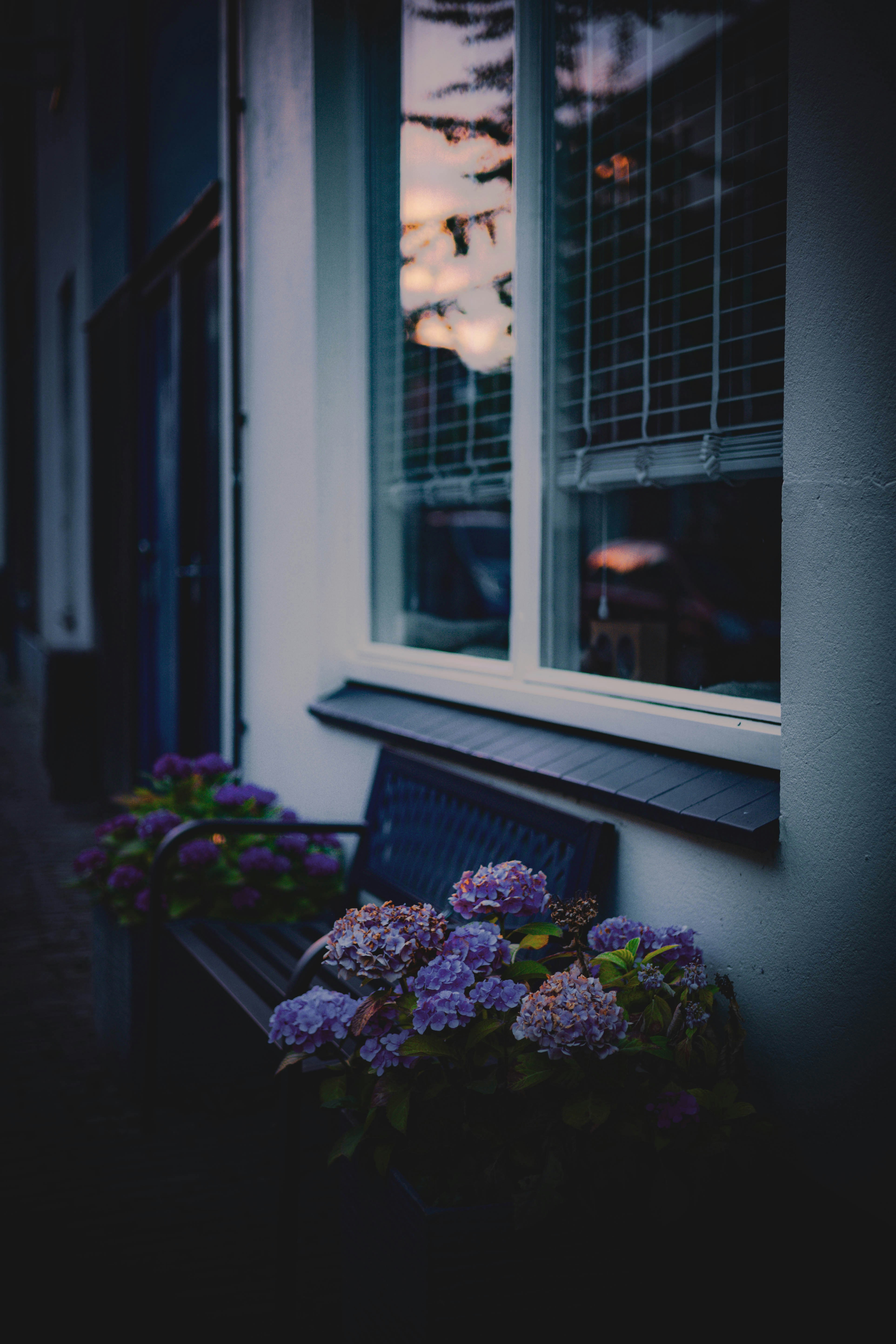 Photo by bryandijkh