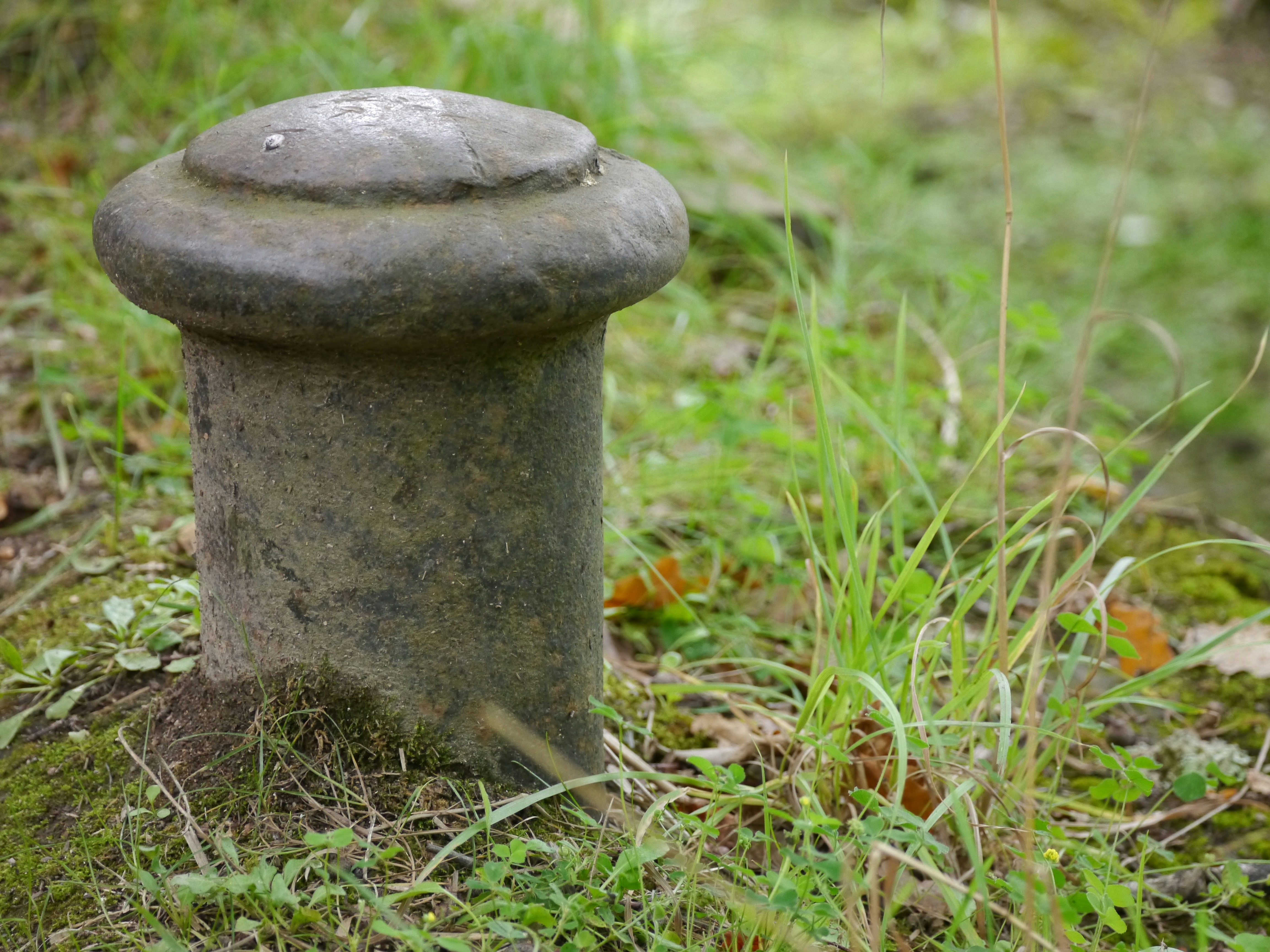 A stone object sitting on the ground in the grass