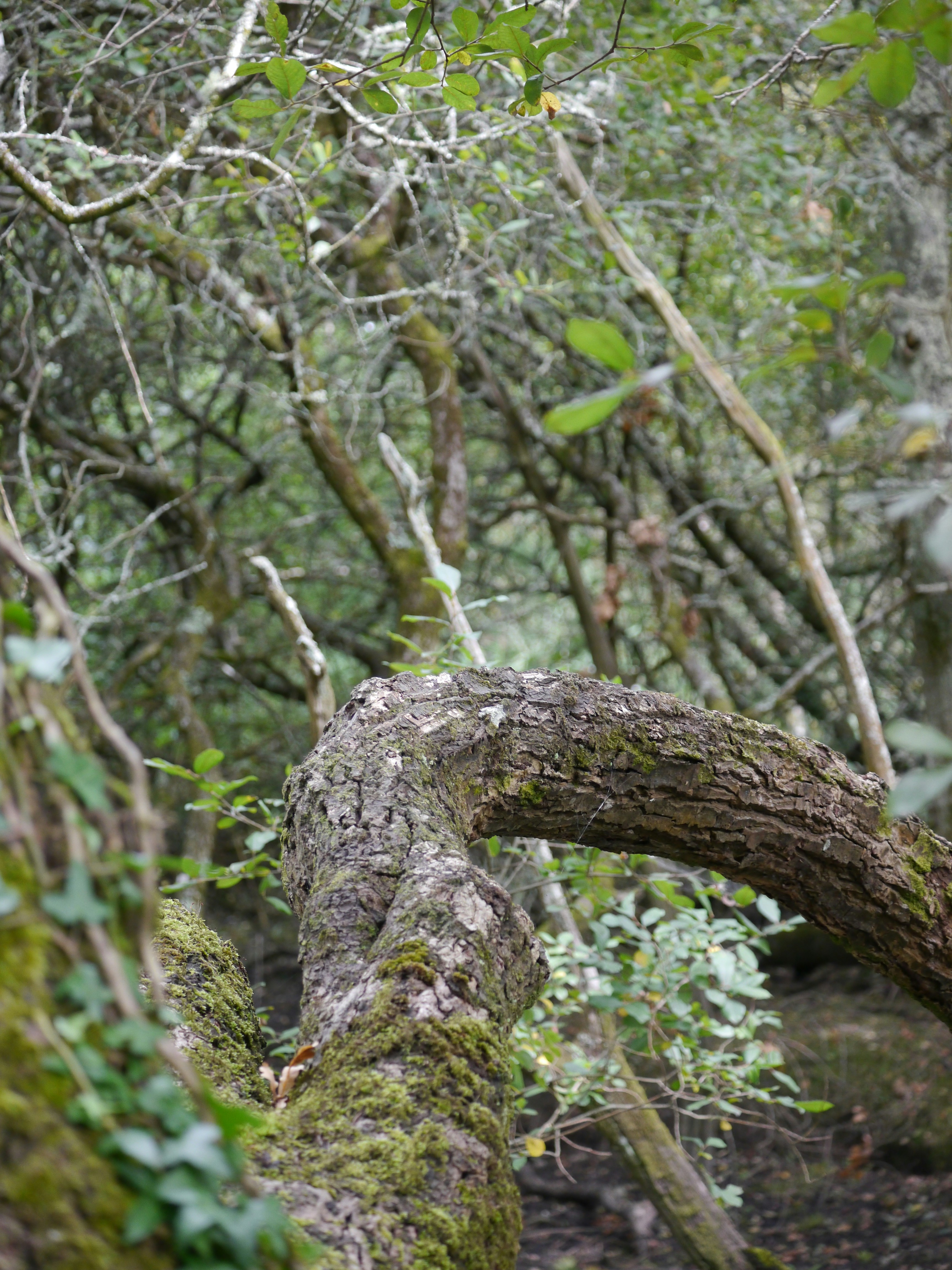 Photo by iqsphotography