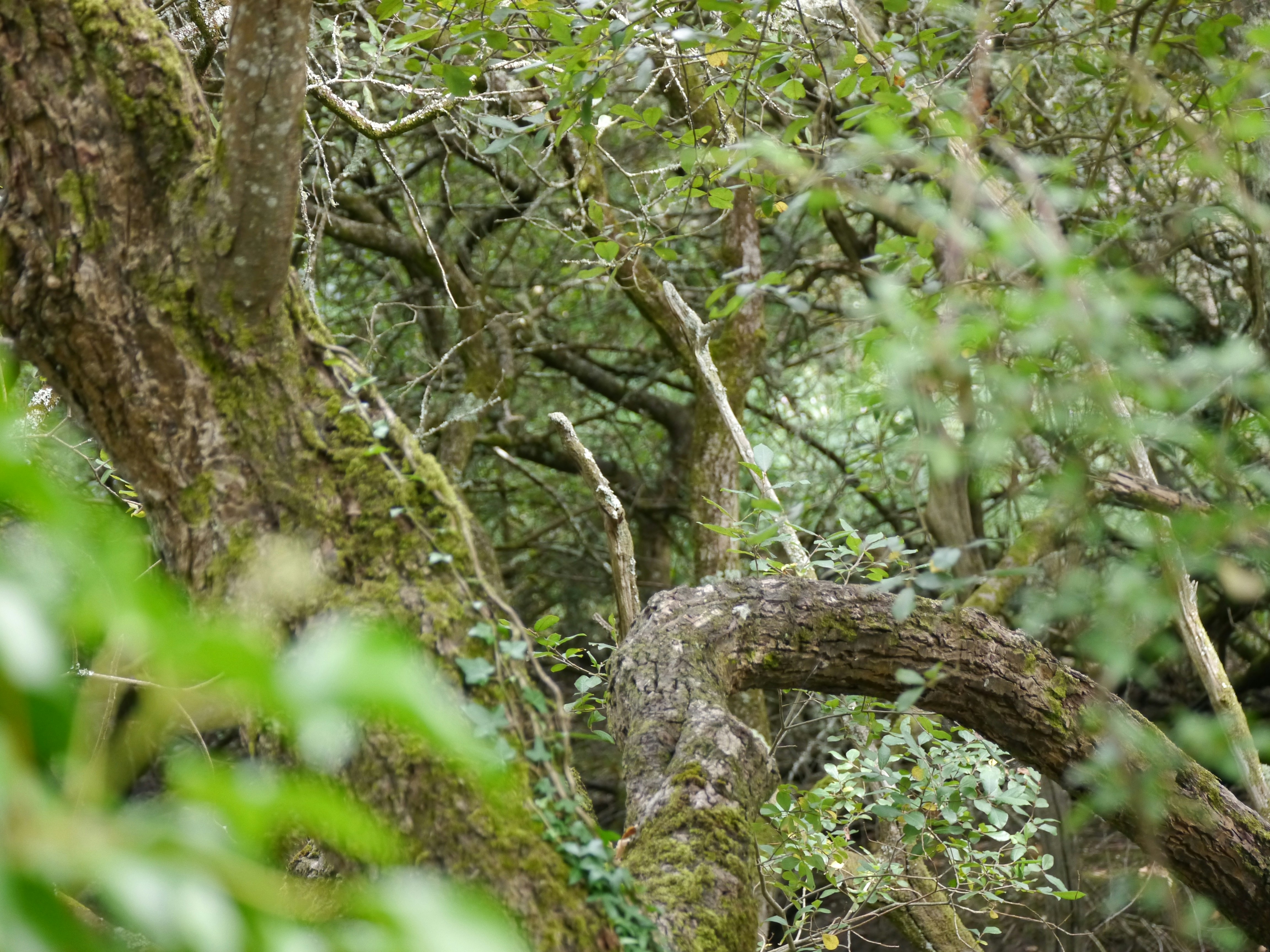 Photo by iqsphotography