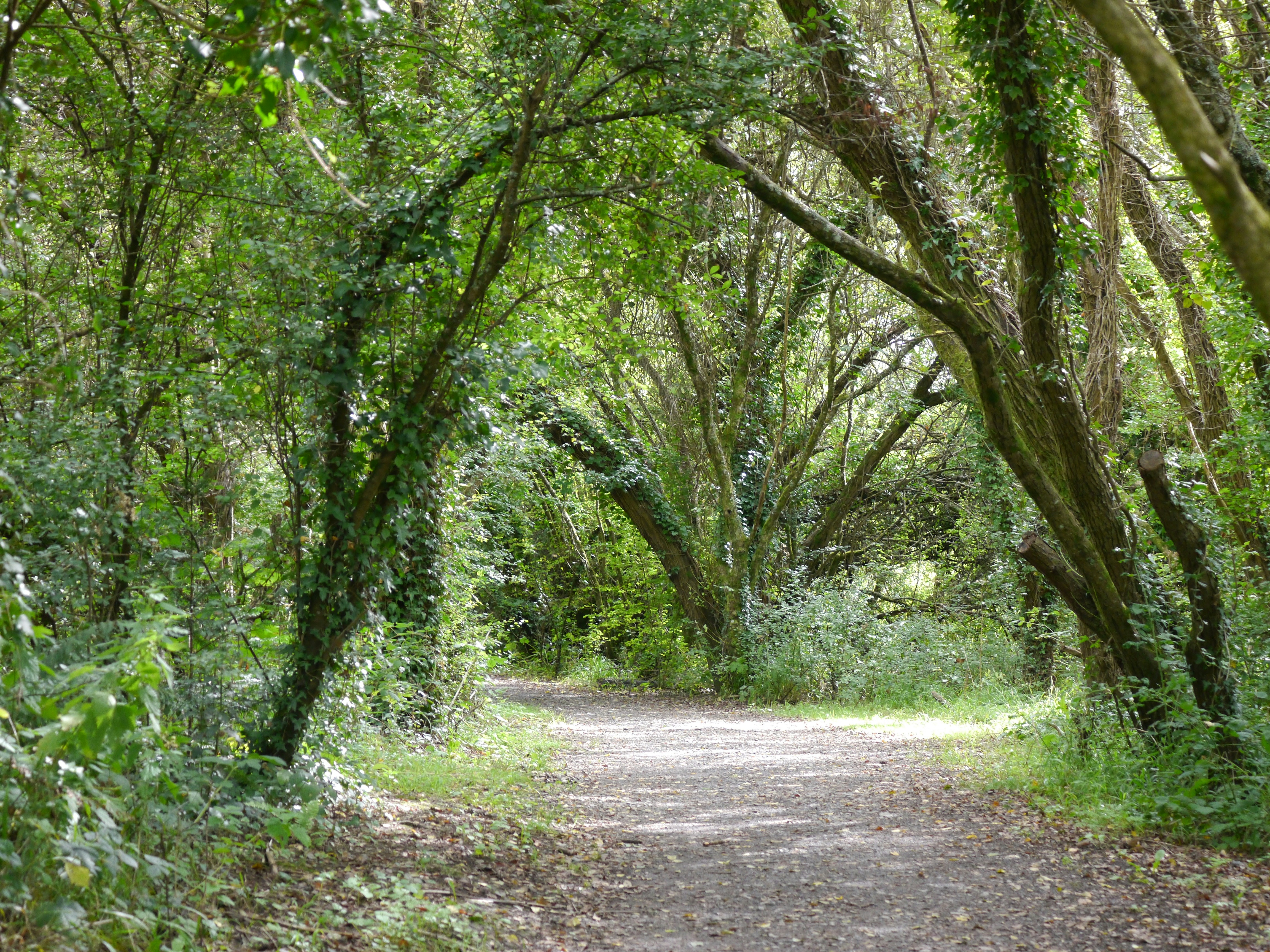 Photo by iqsphotography