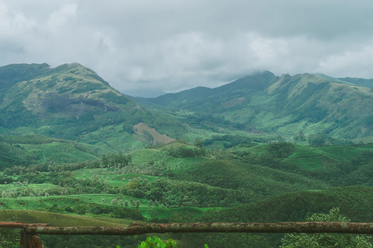 Eravikulam National Park