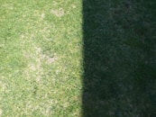 A shadow of a person holding a frisbee
