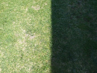 A shadow of a person holding a frisbee