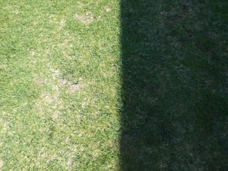 A shadow of a person holding a frisbee