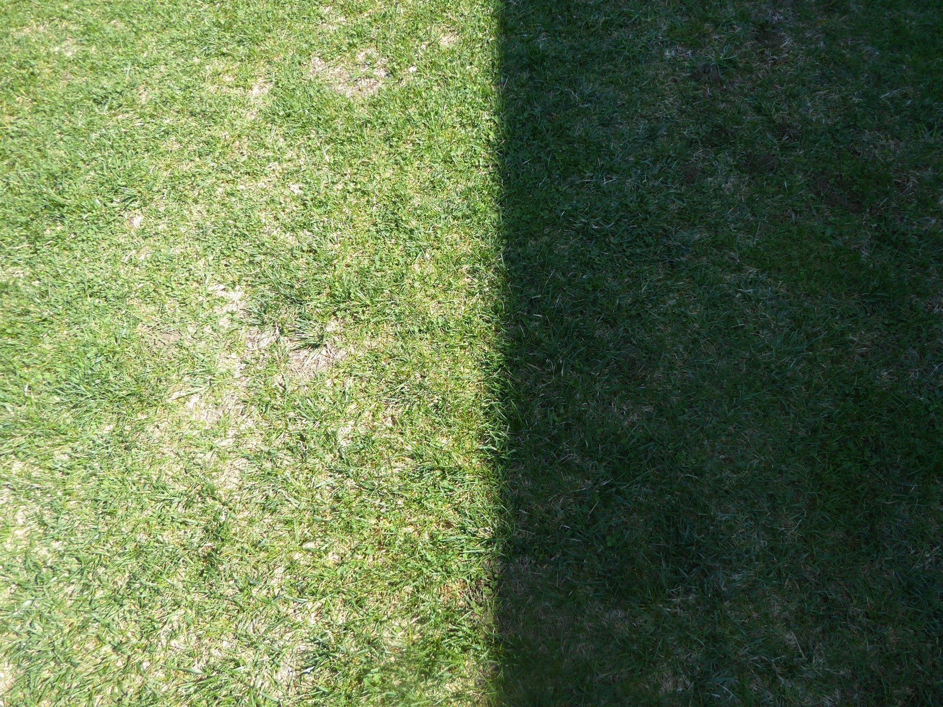 A shadow of a person holding a frisbee