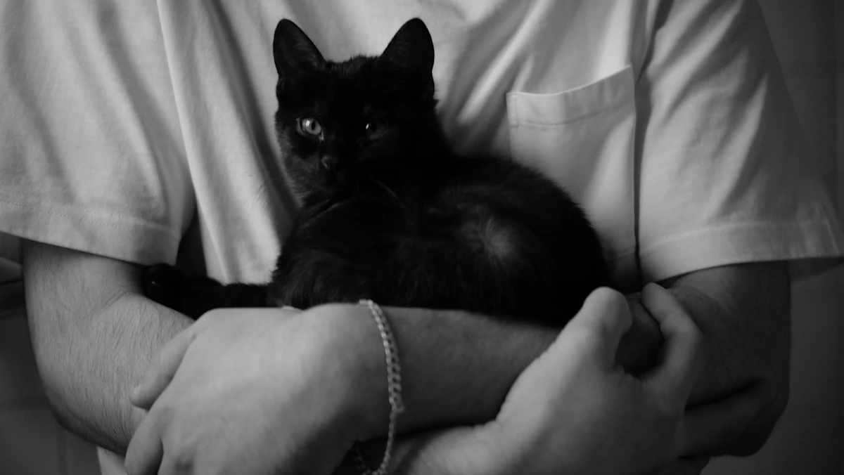 Stop Paper Intake Forms Slowing Down Vet Practices in 2026