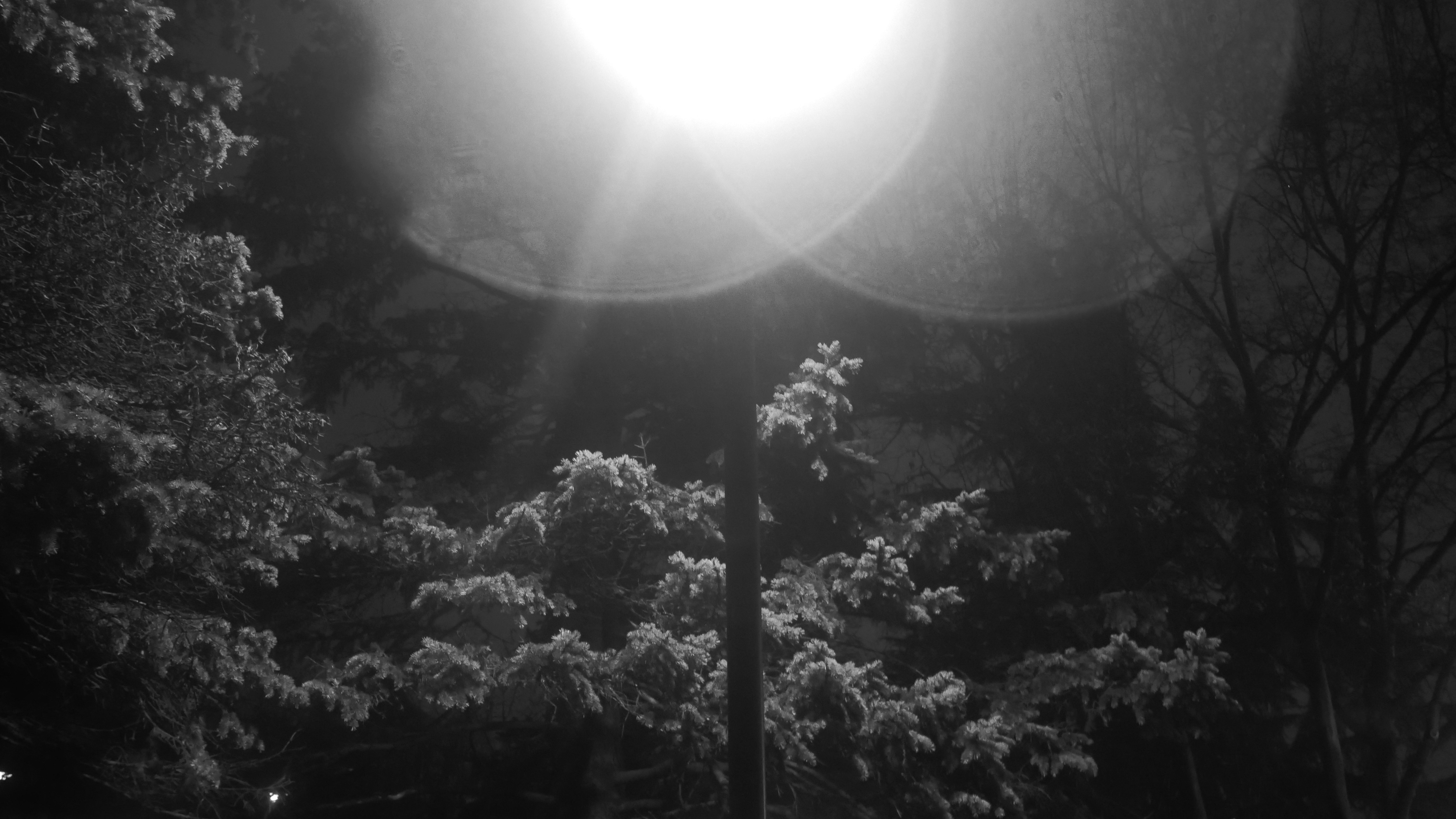 Photo by tomaudagna