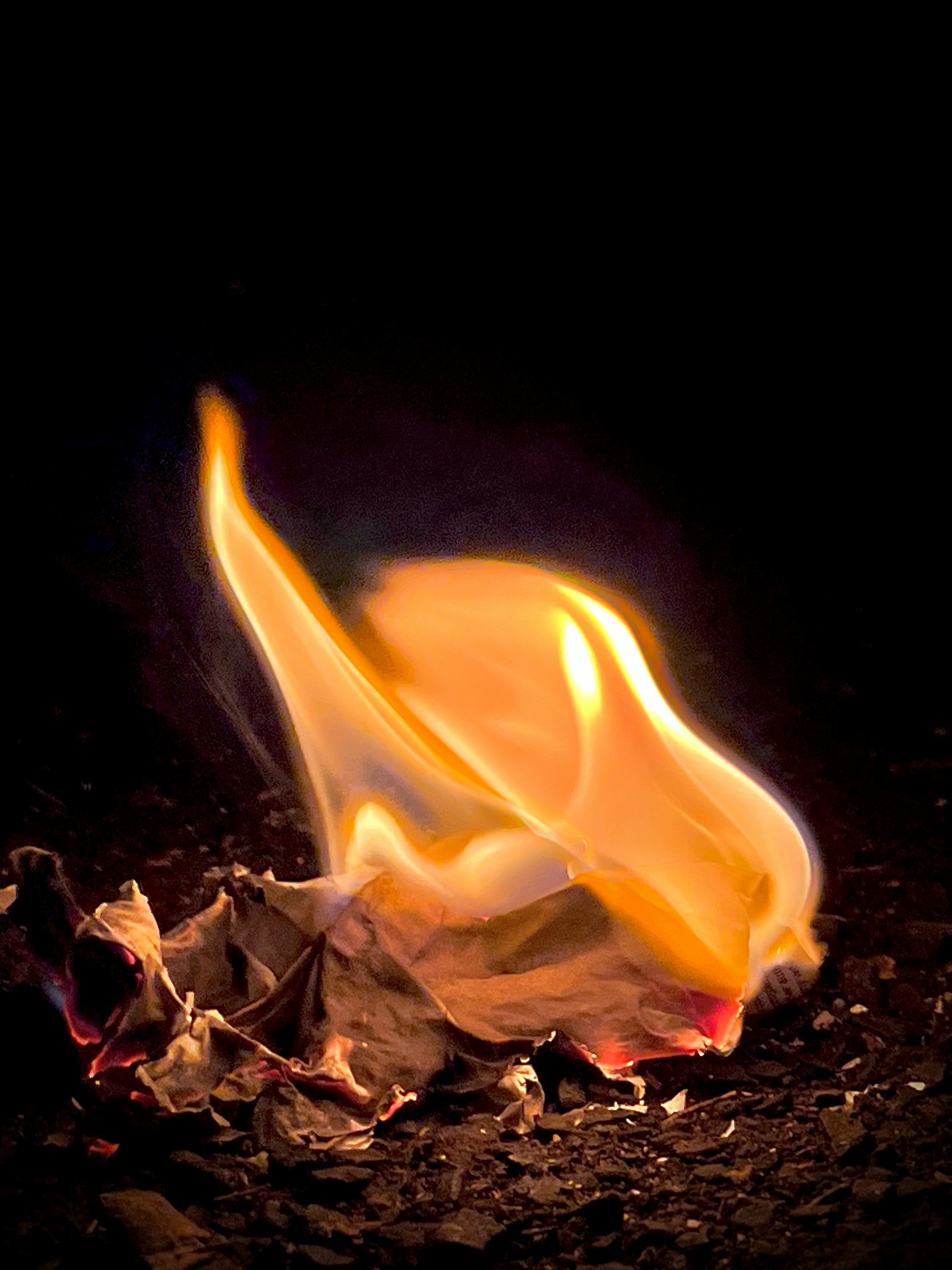 Photo by iamdivyanshdwivedi