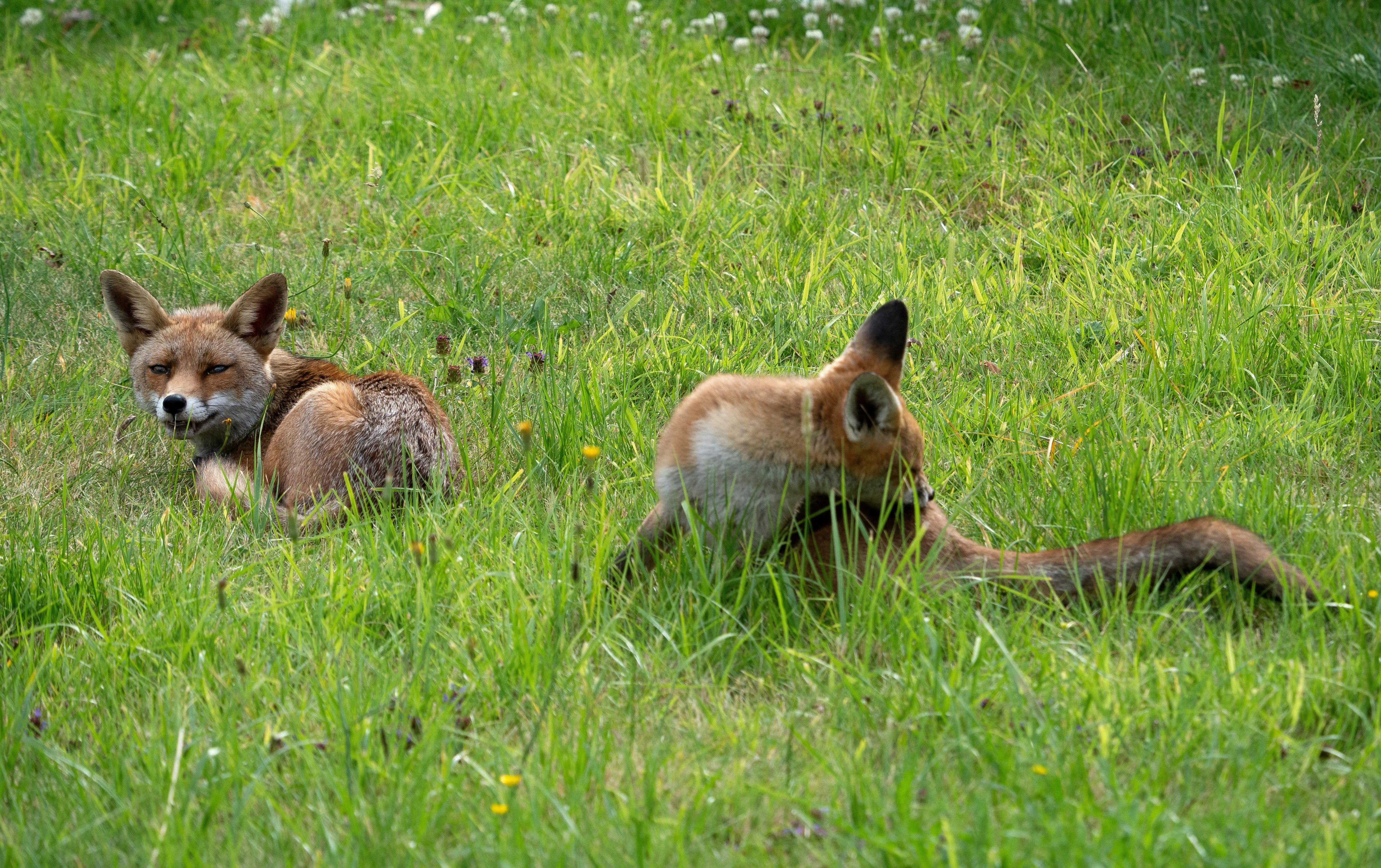 Photo by brett_jordan