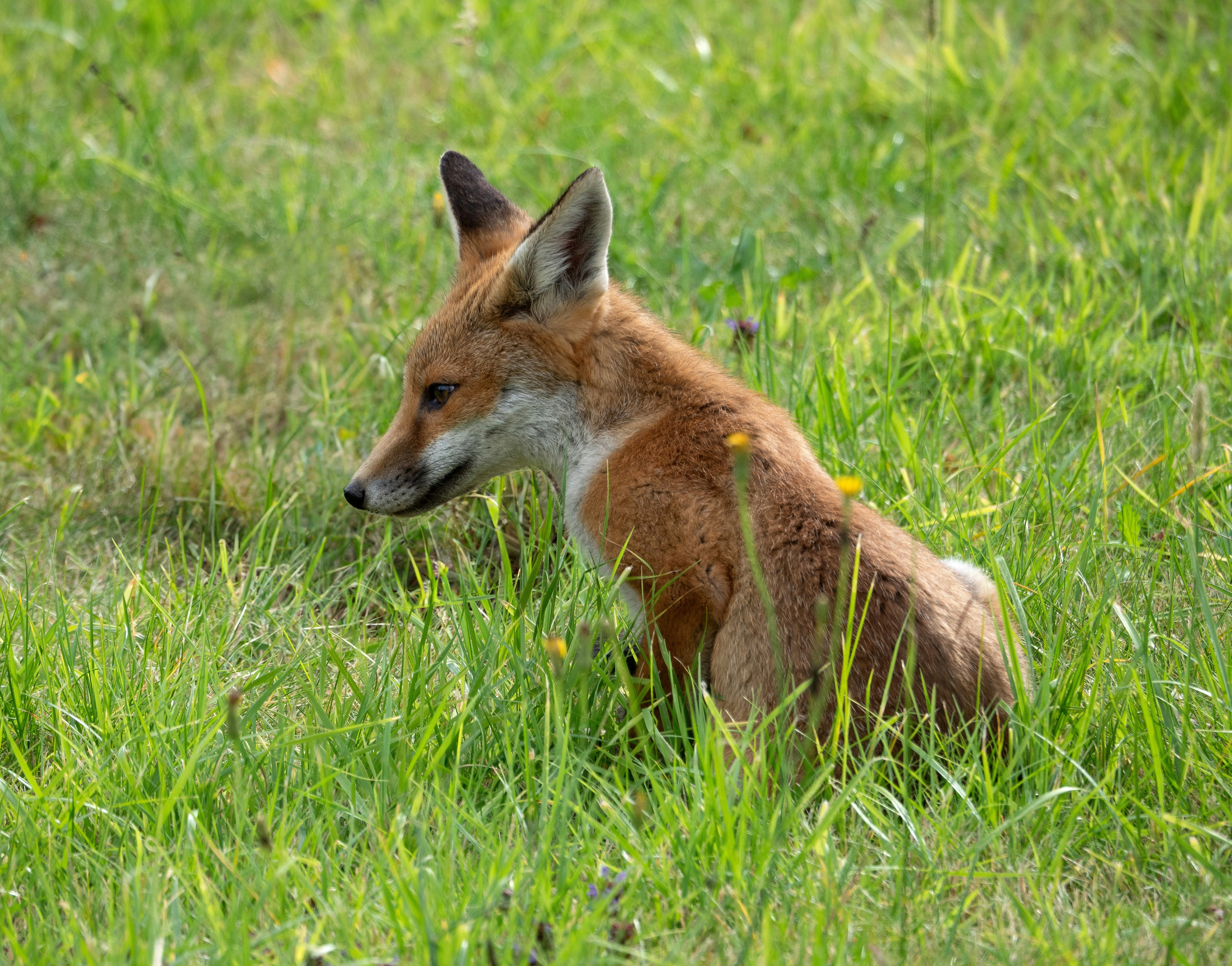 Photo by brett_jordan