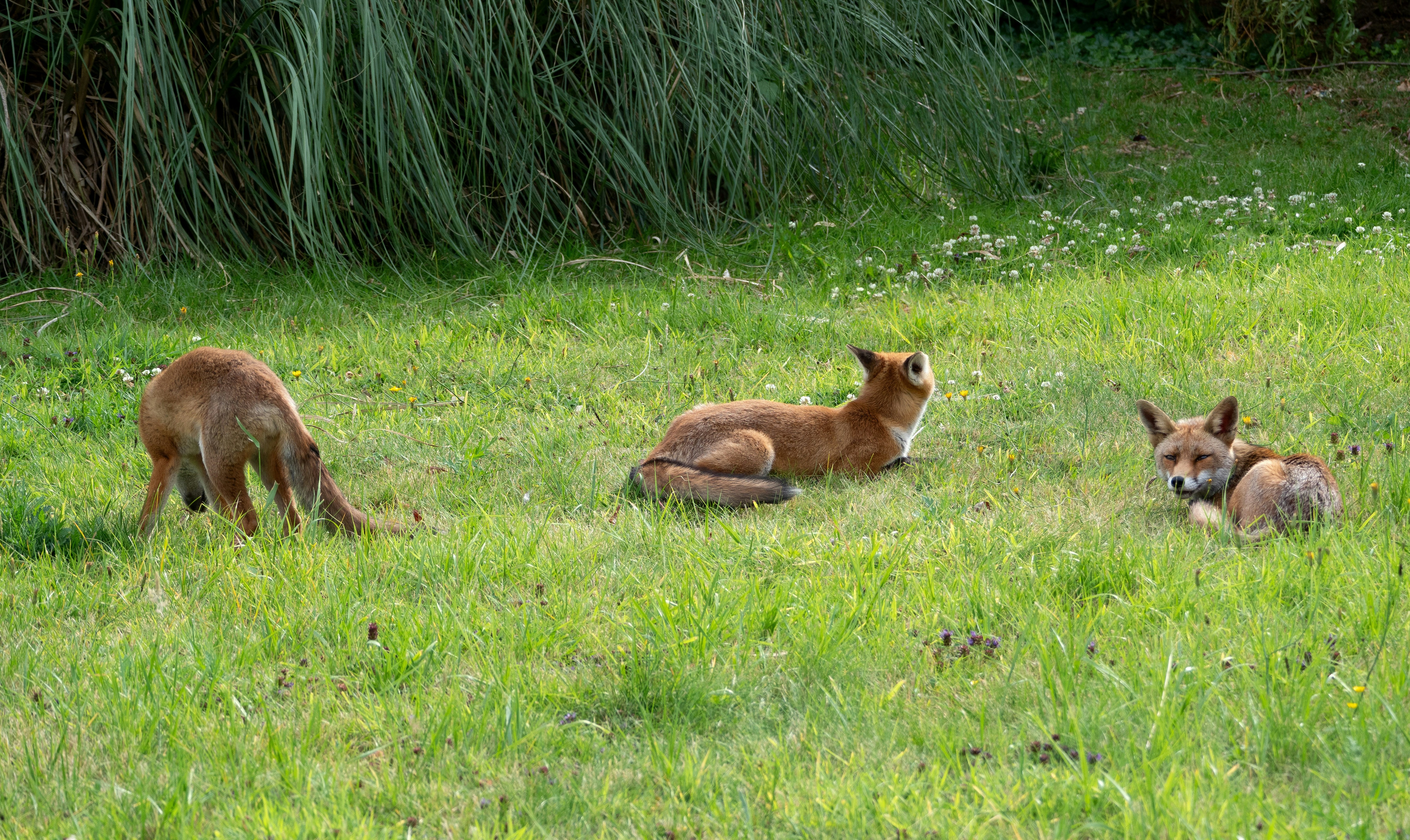 Photo by brett_jordan