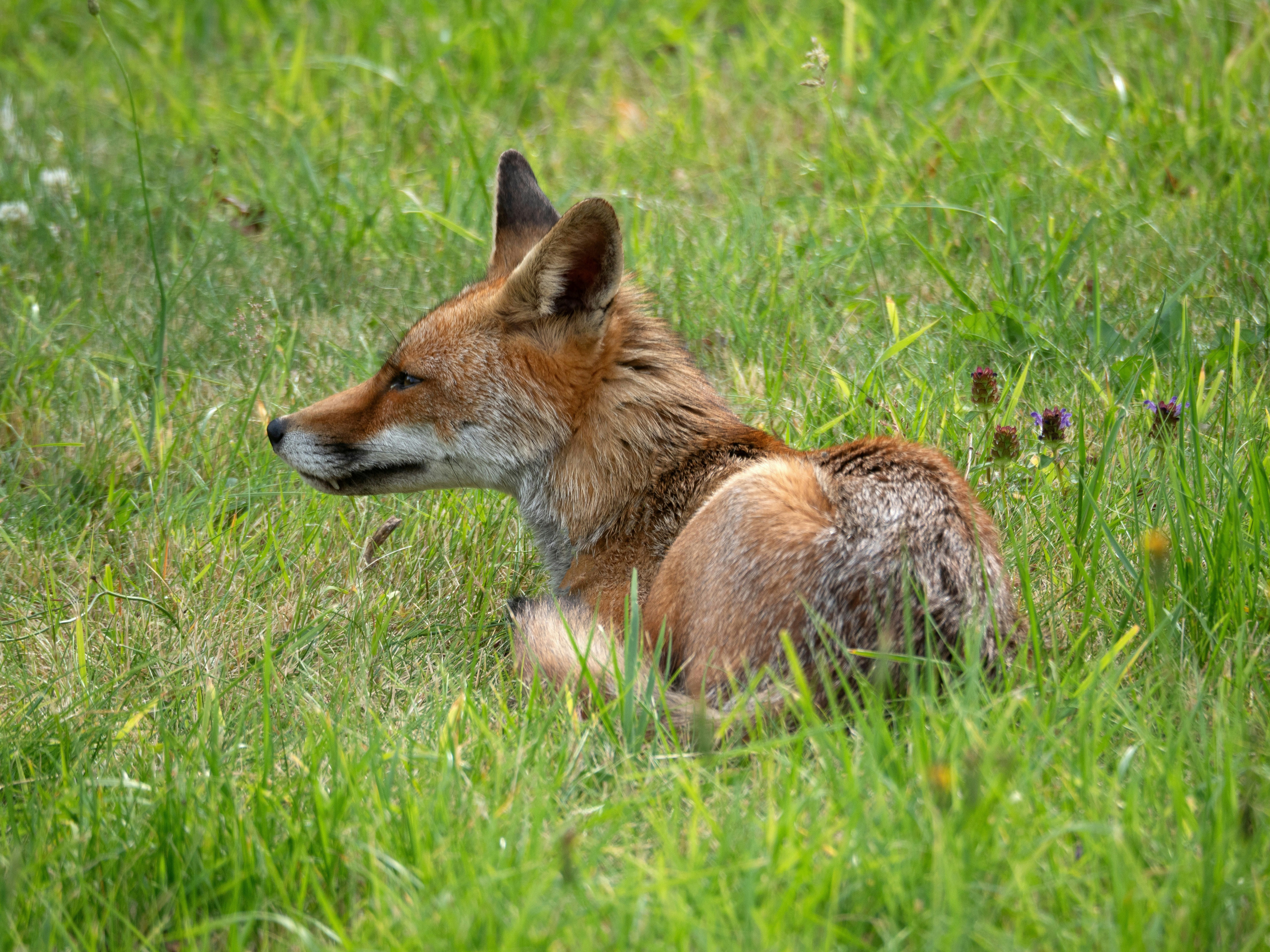 Photo by brett_jordan