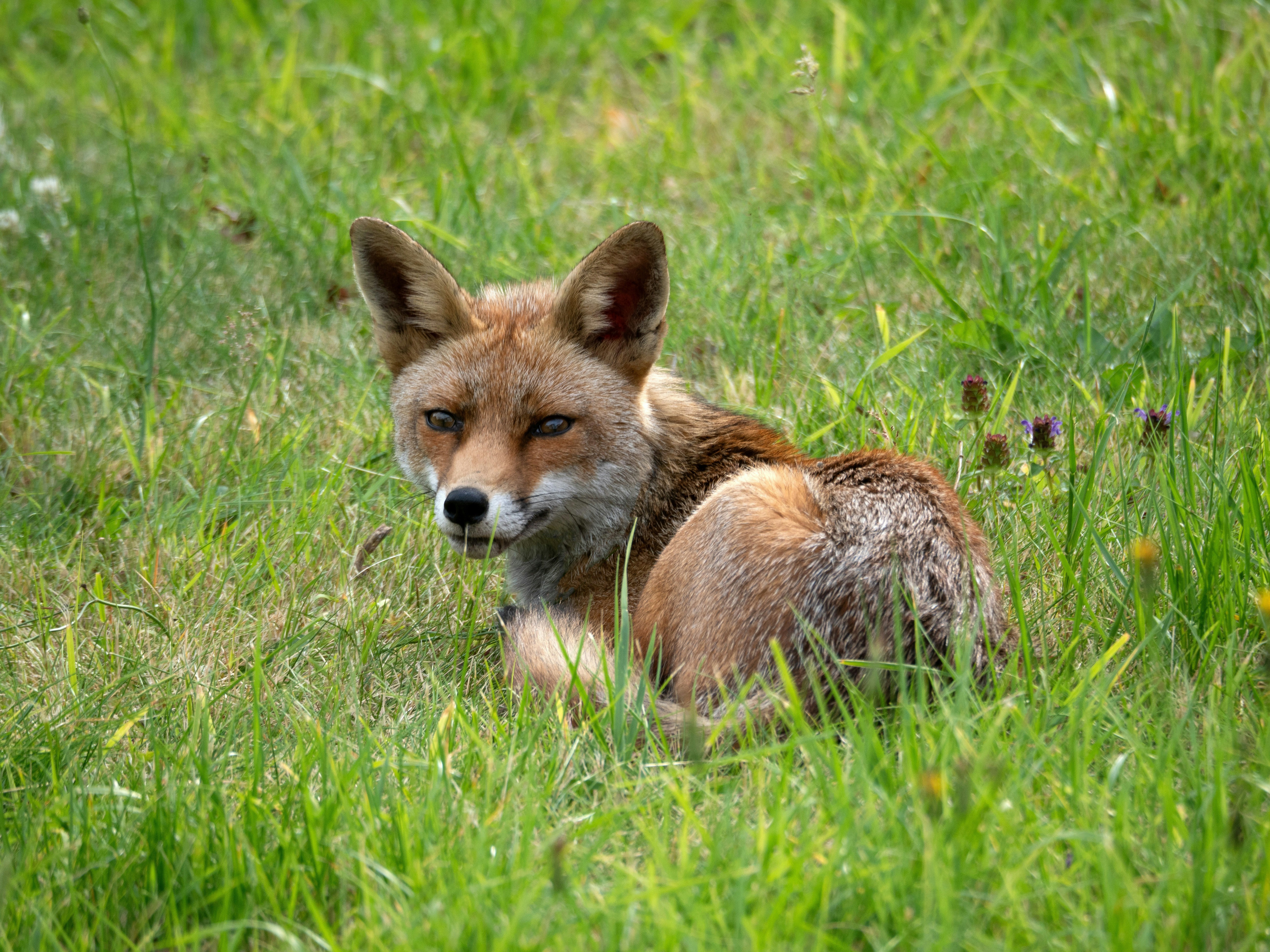 Photo by brett_jordan