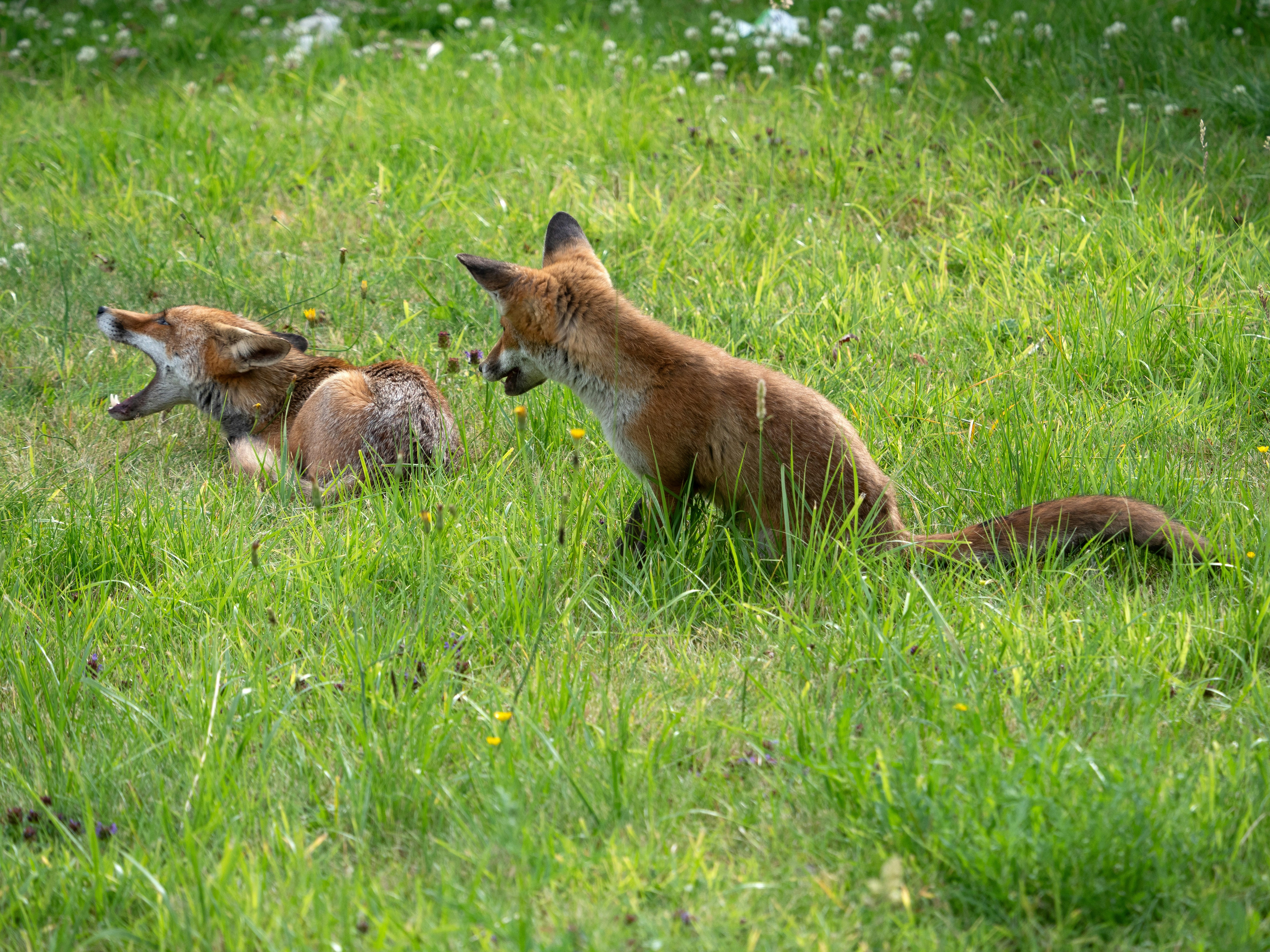 Photo by brett_jordan