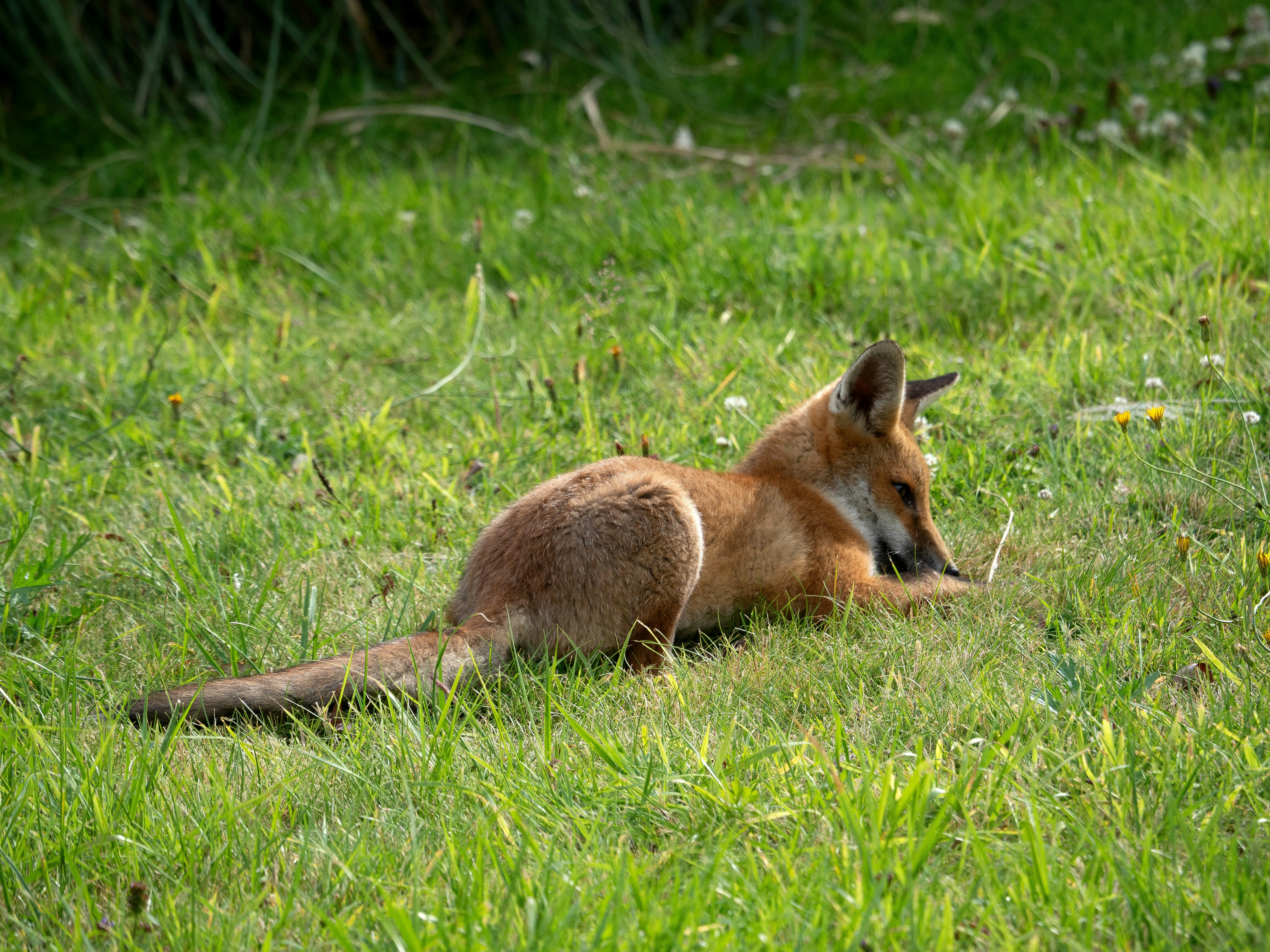 Photo by brett_jordan