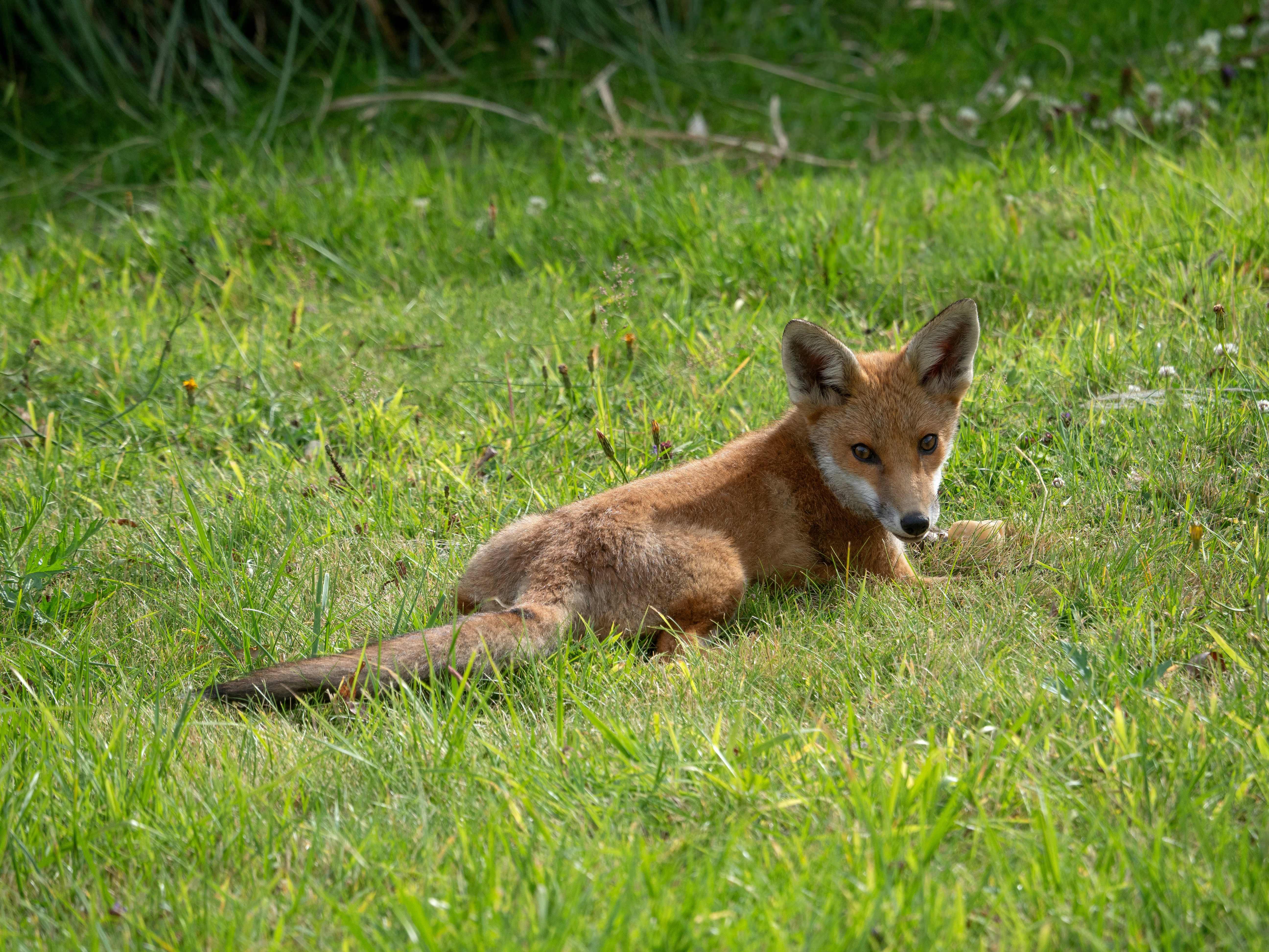 Photo by brett_jordan