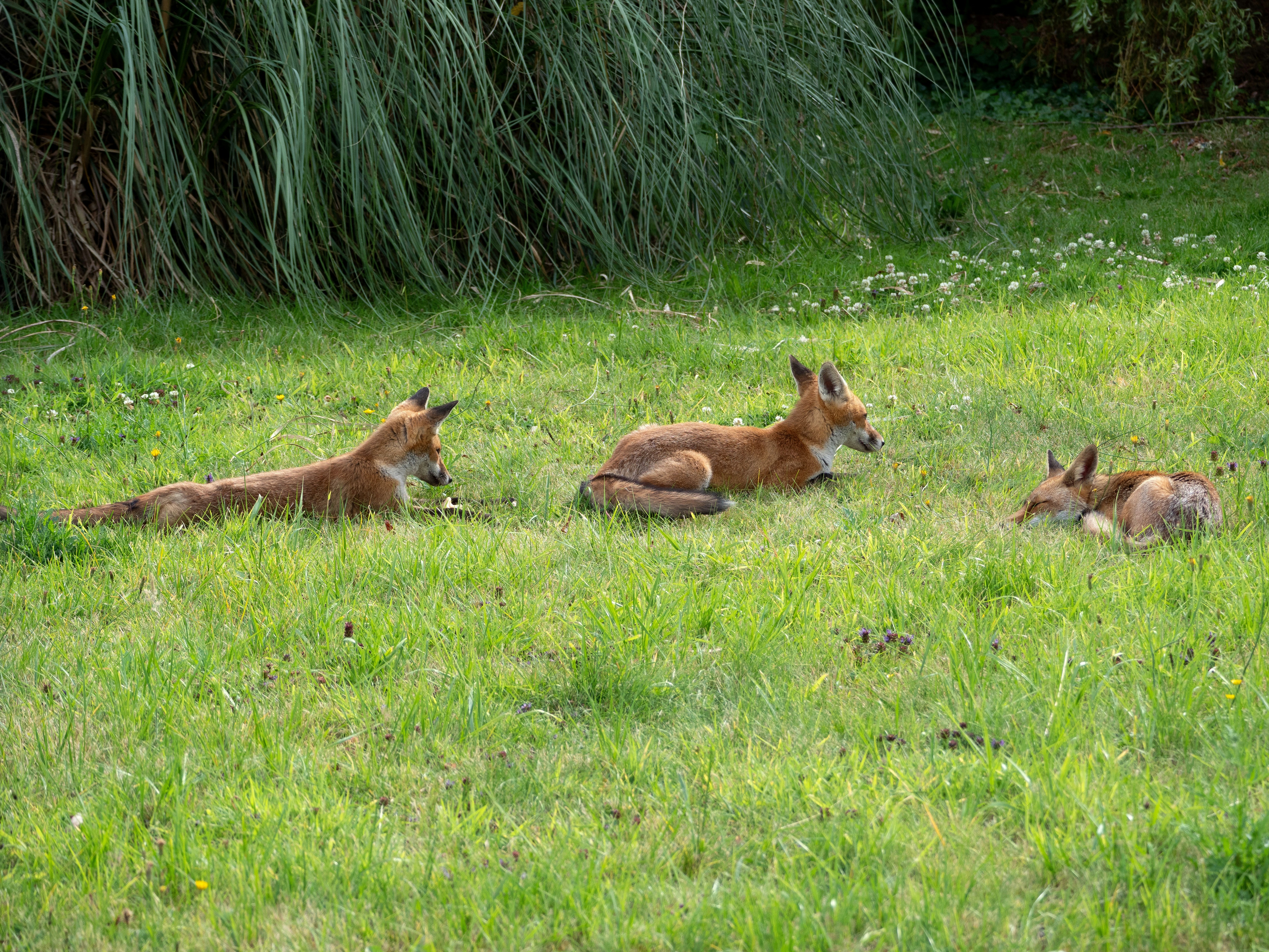 Photo by brett_jordan