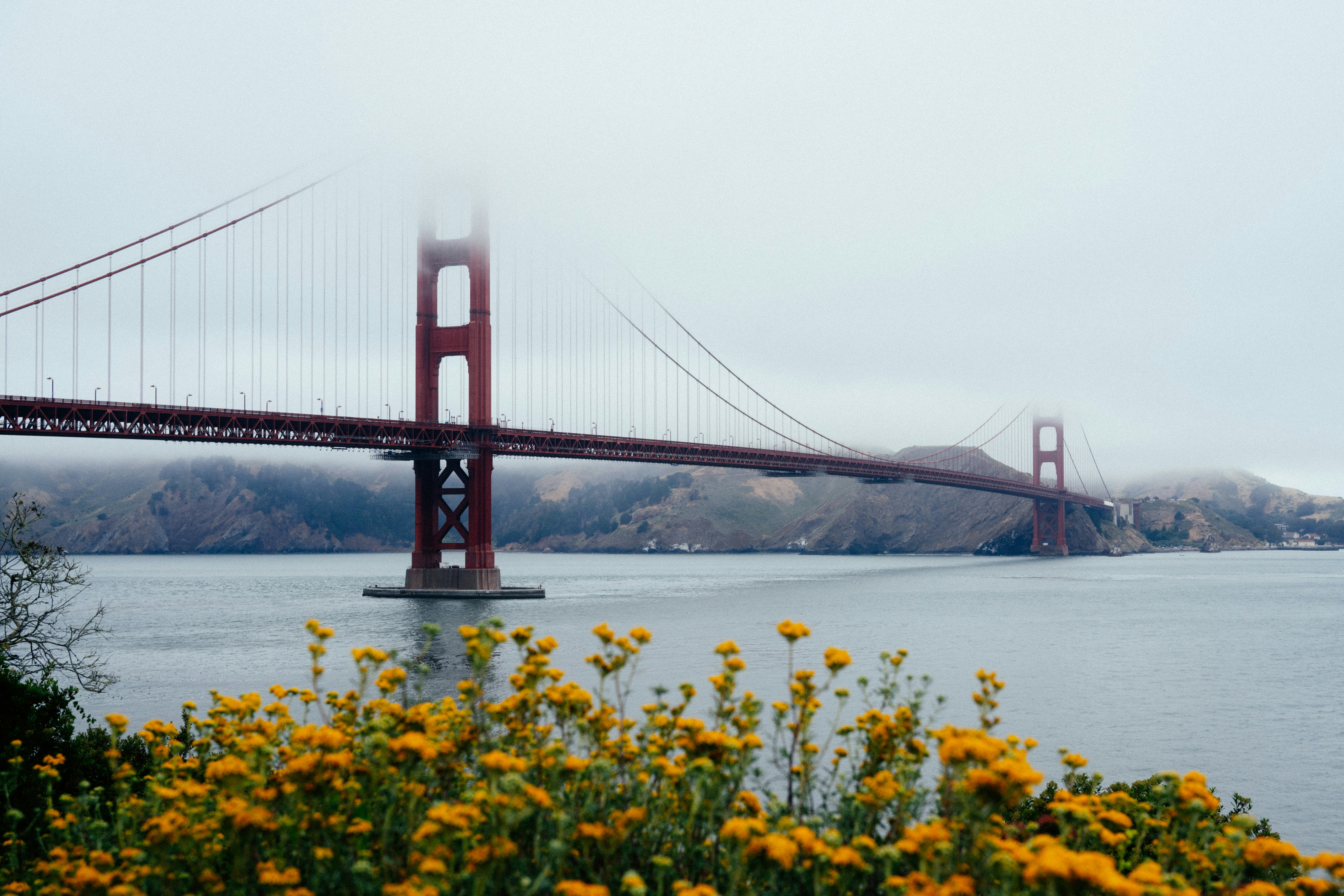 Ein Blick auf die Golden Gate Bridge an einem nebligen Tag
