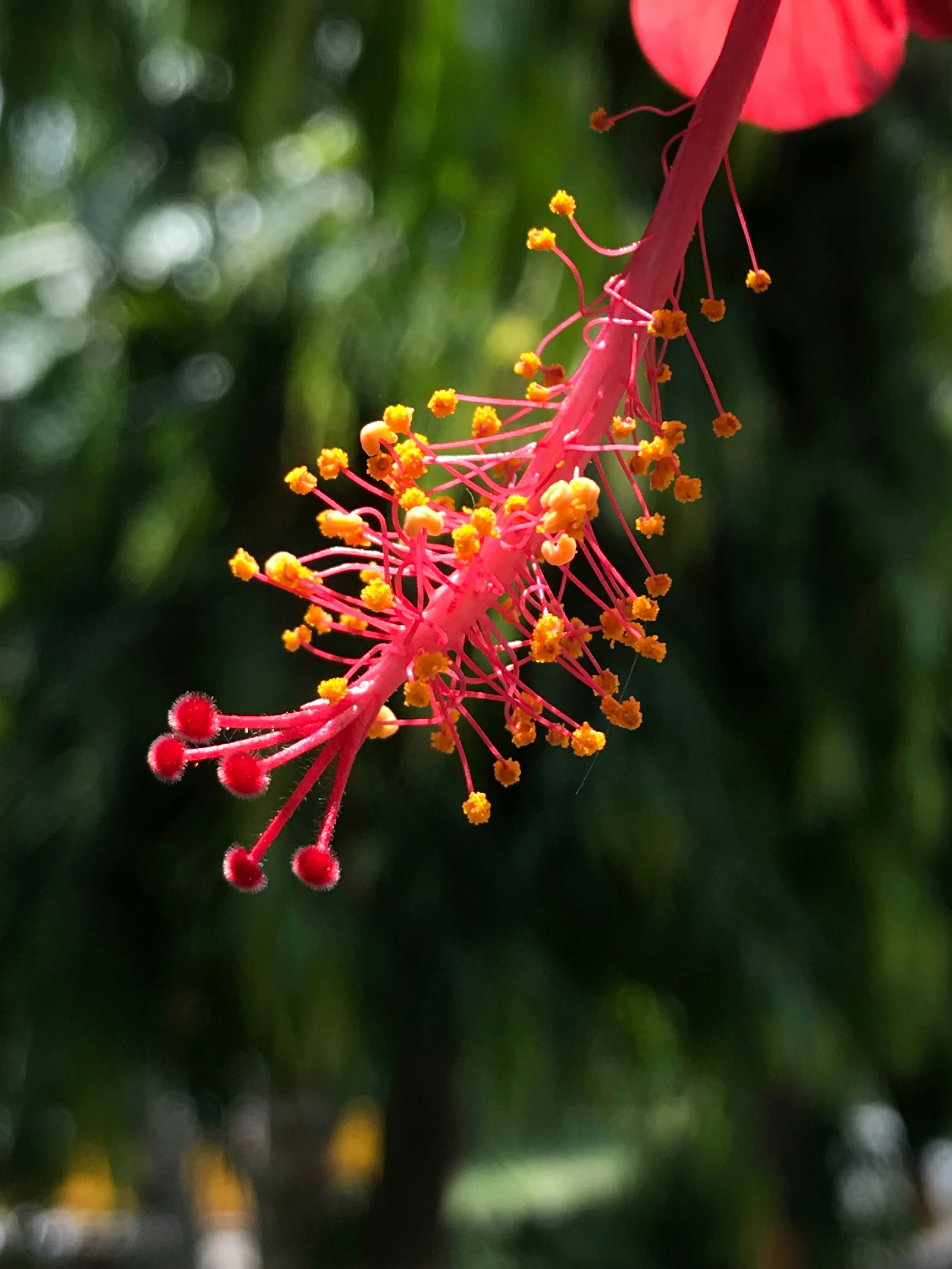 Photo by iamdivyanshdwivedi