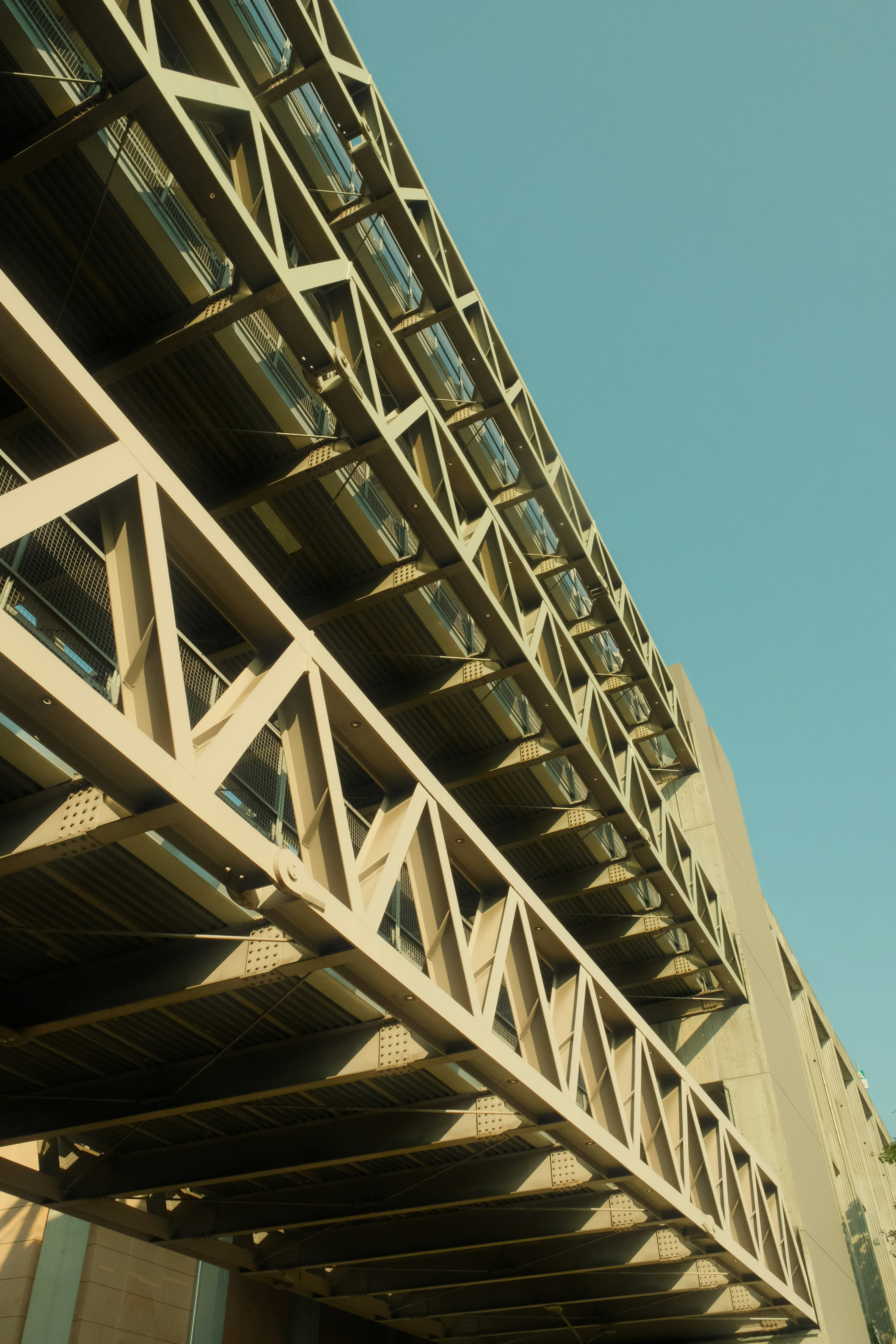 Photo by simonelocarno02