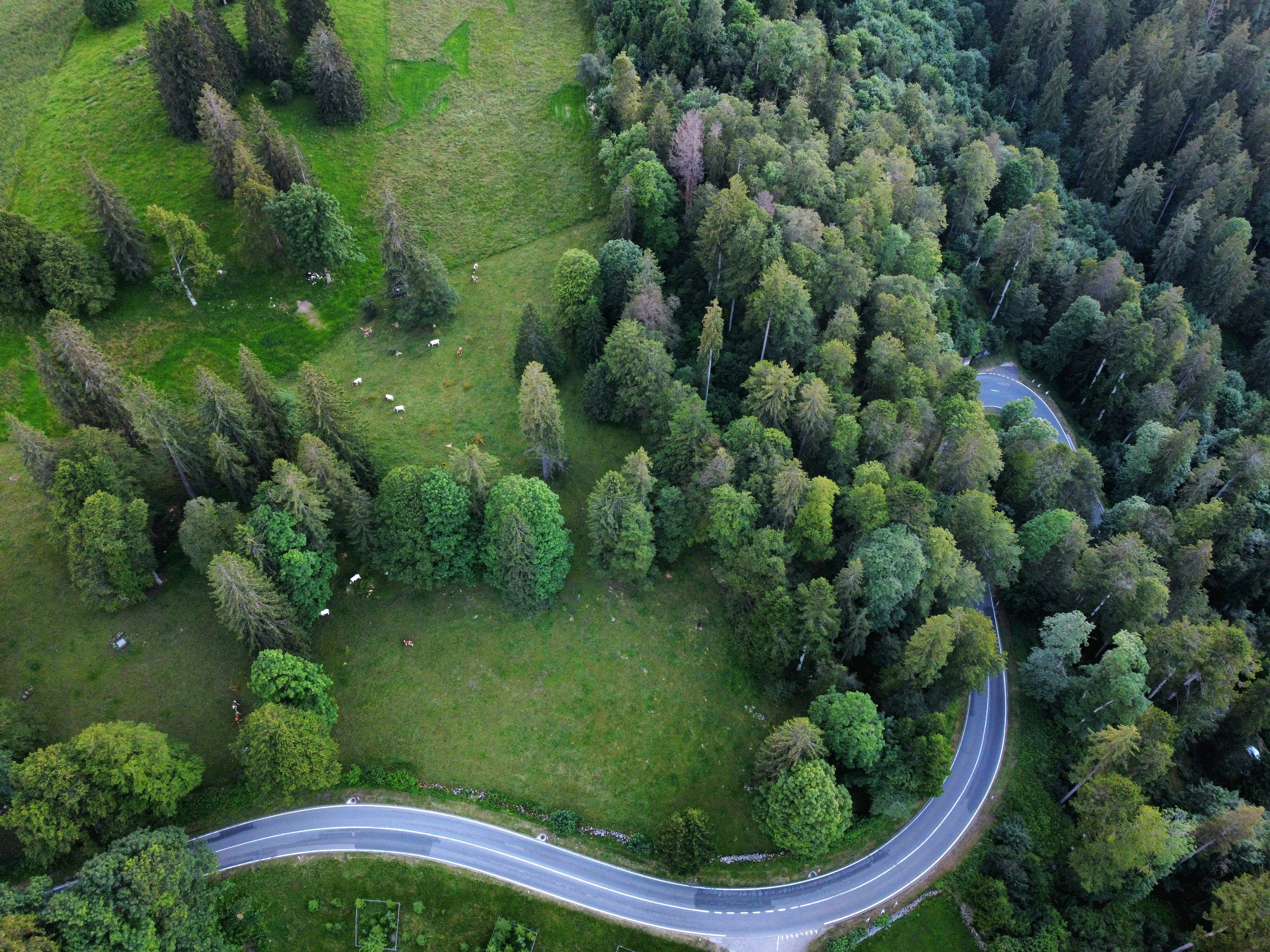 Photo by beda_muoser