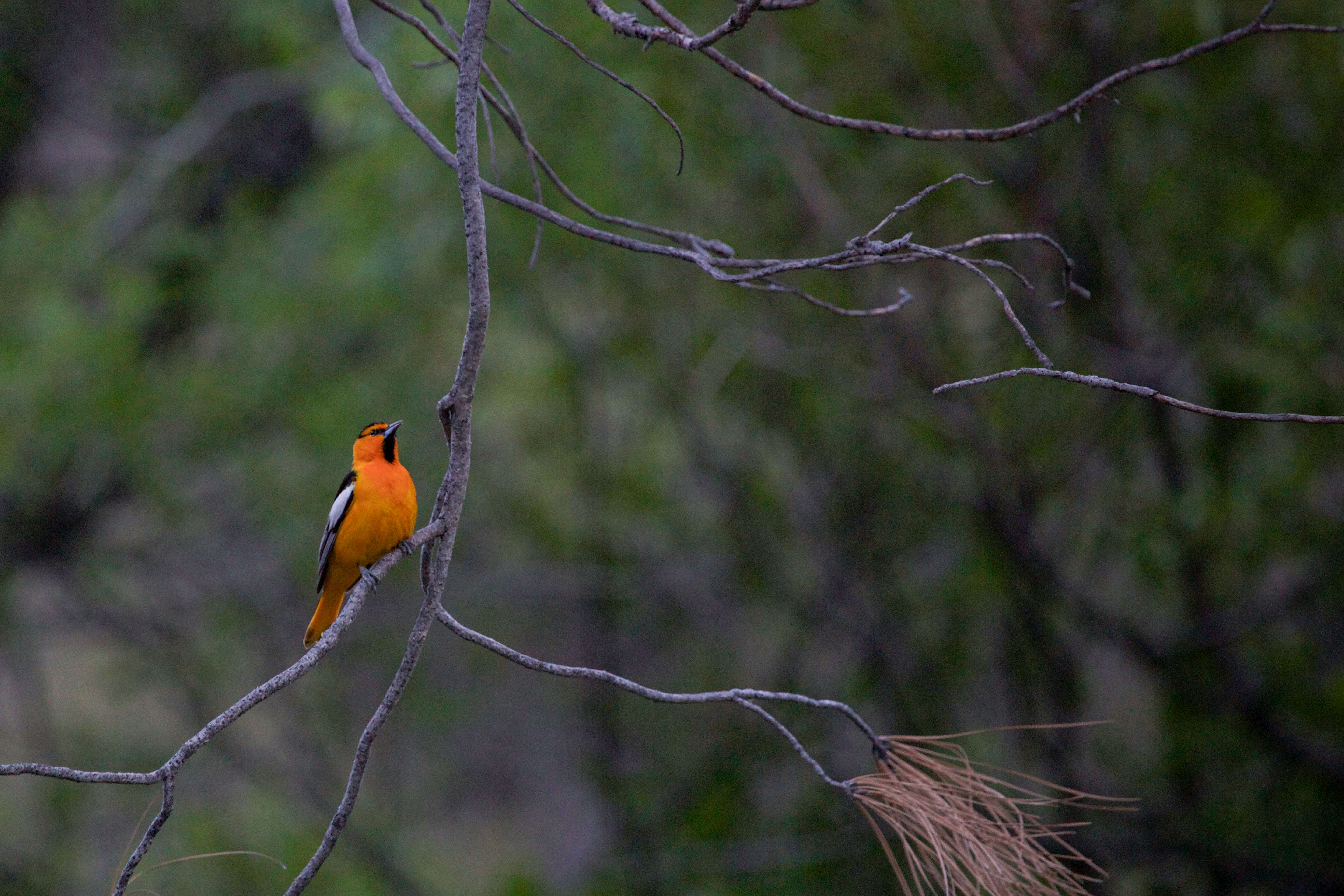 Photo by matthewmentley