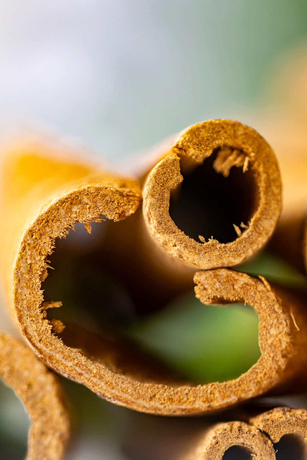 Ceylon Cinnamon origin