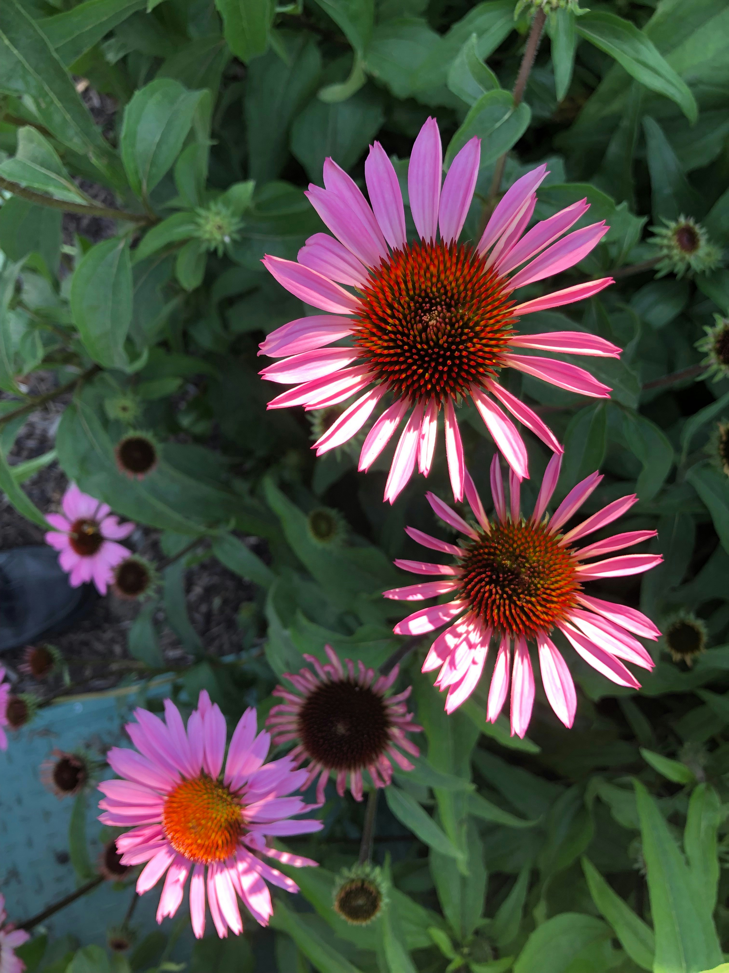 Photo by liberatetheimage