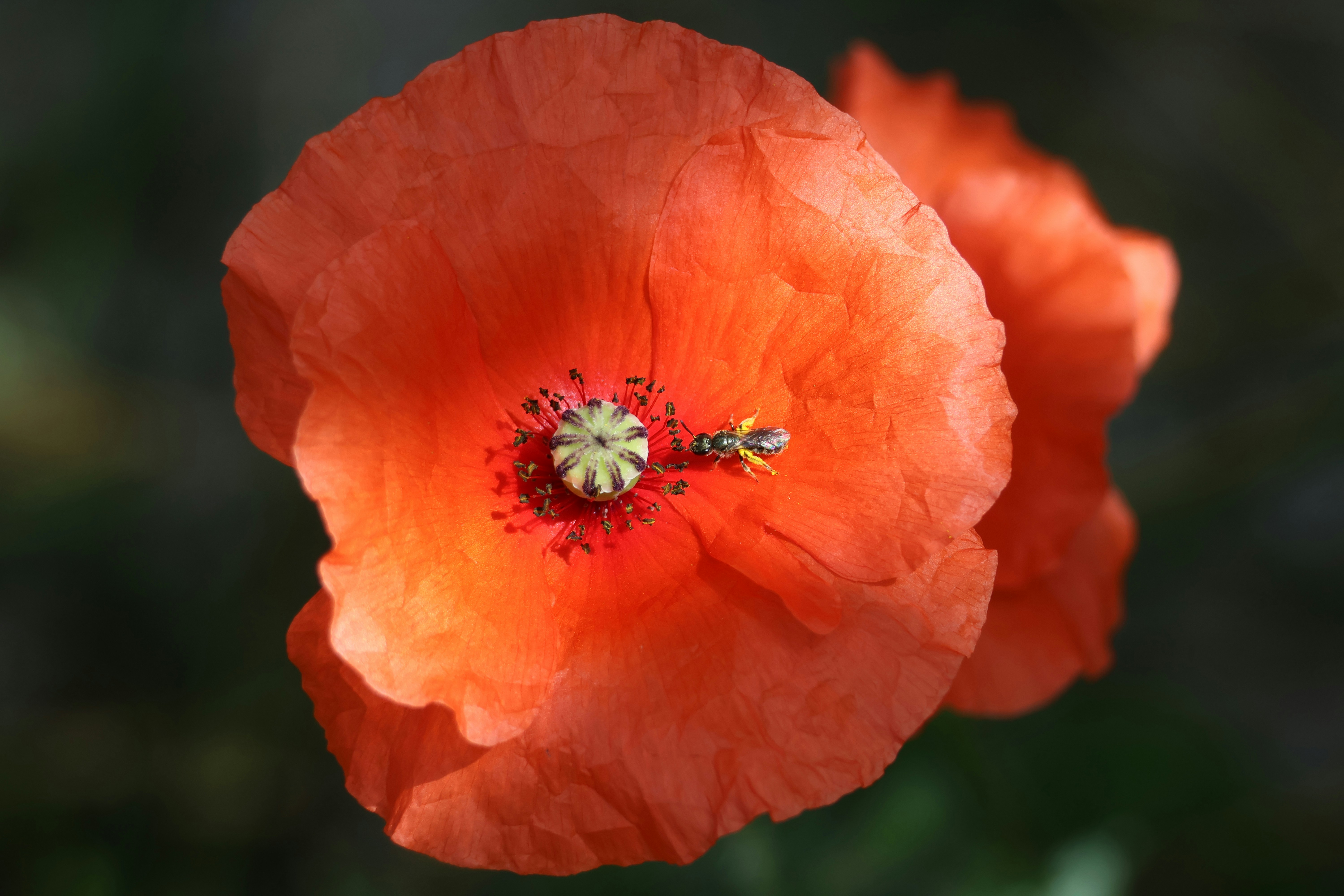 Photo by shooter__andy