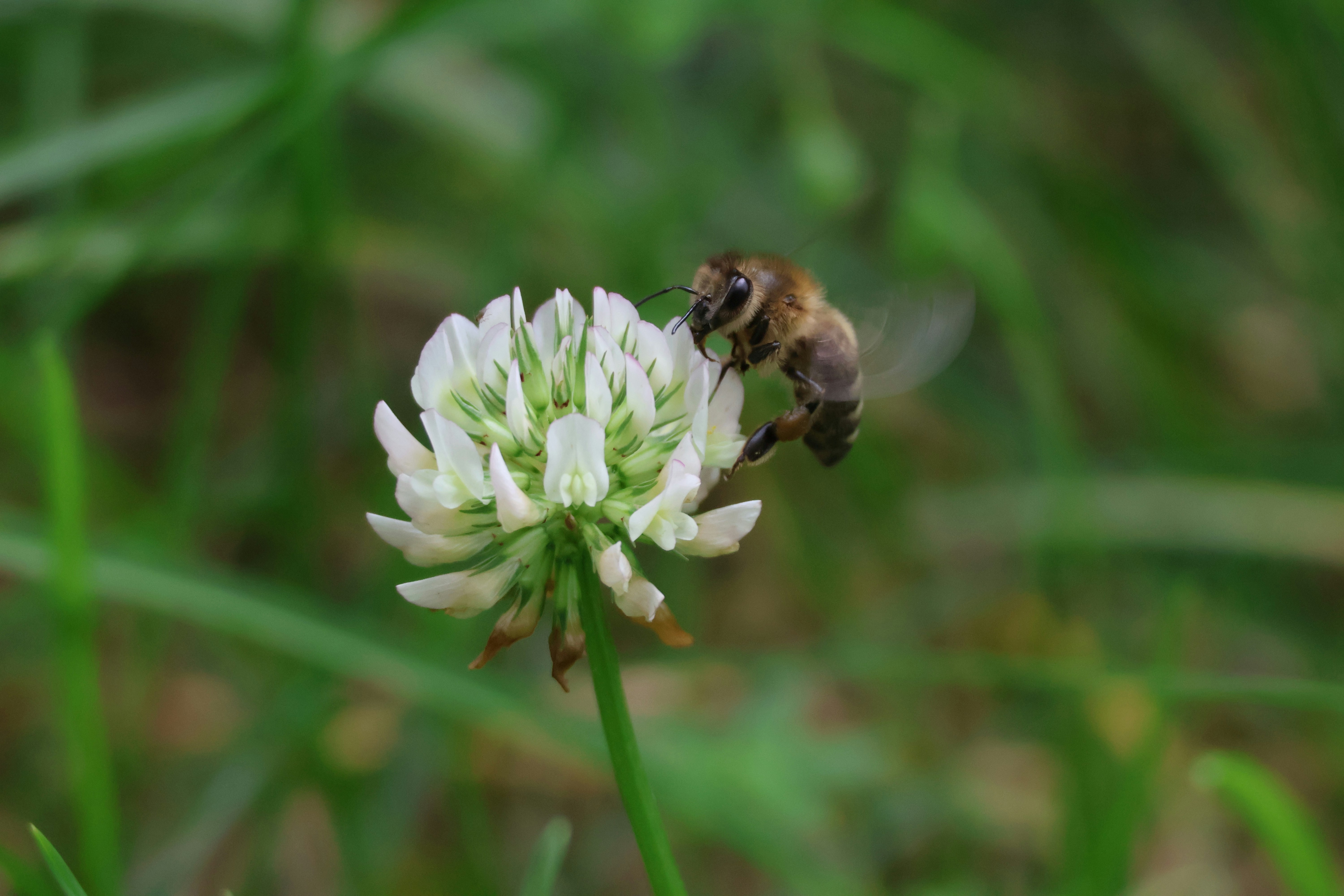 Photo by shooter__andy