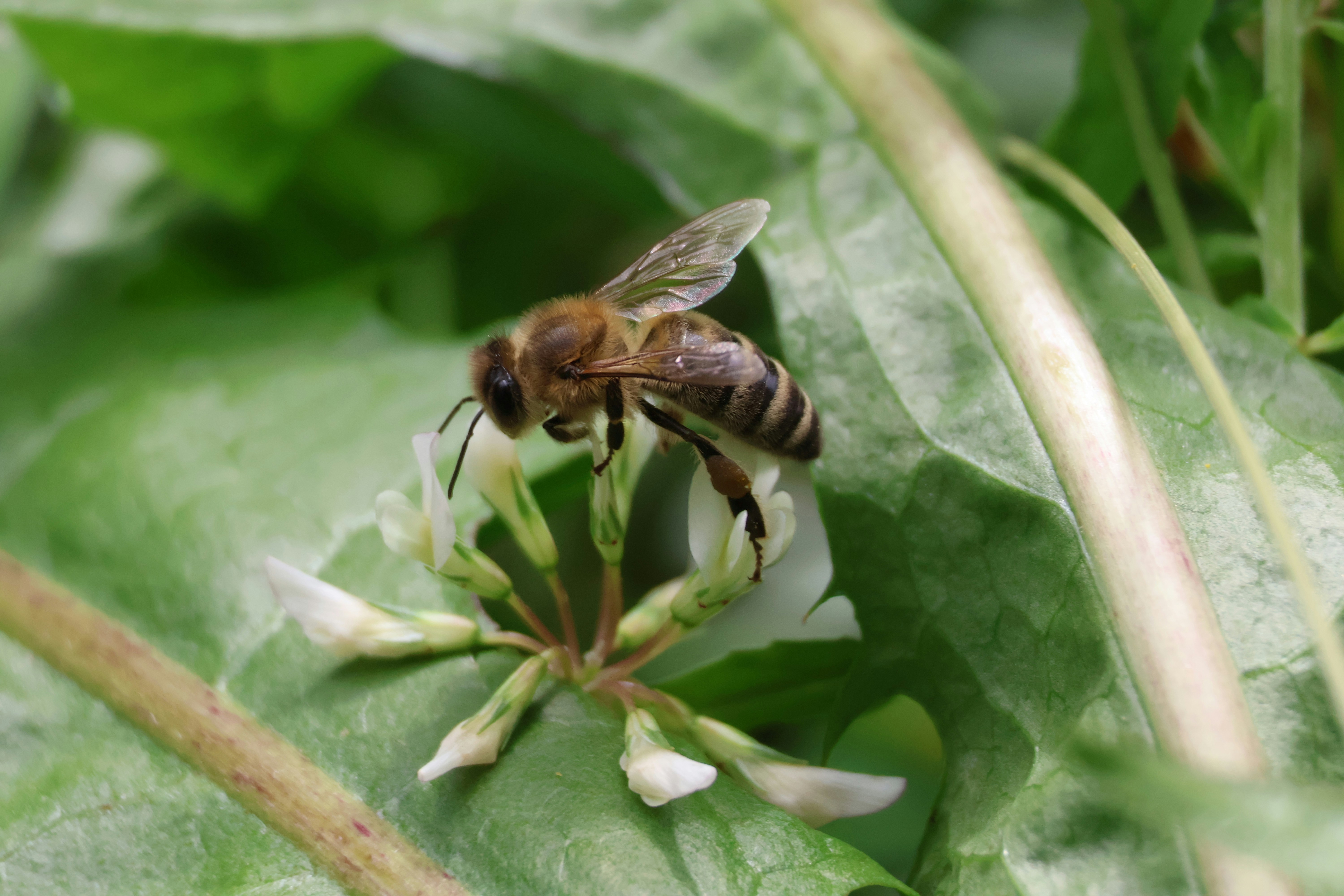 Photo by shooter__andy