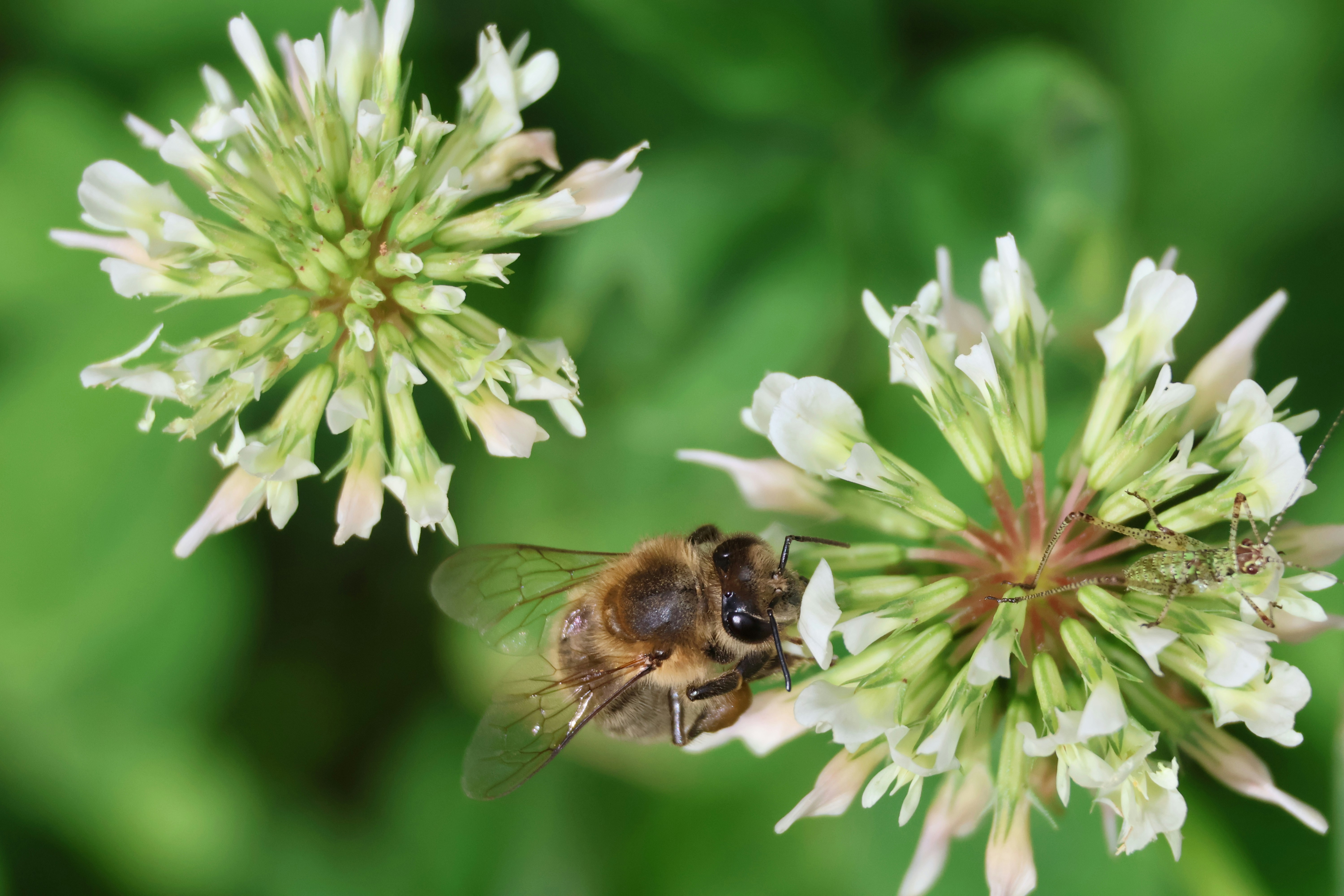 Photo by shooter__andy