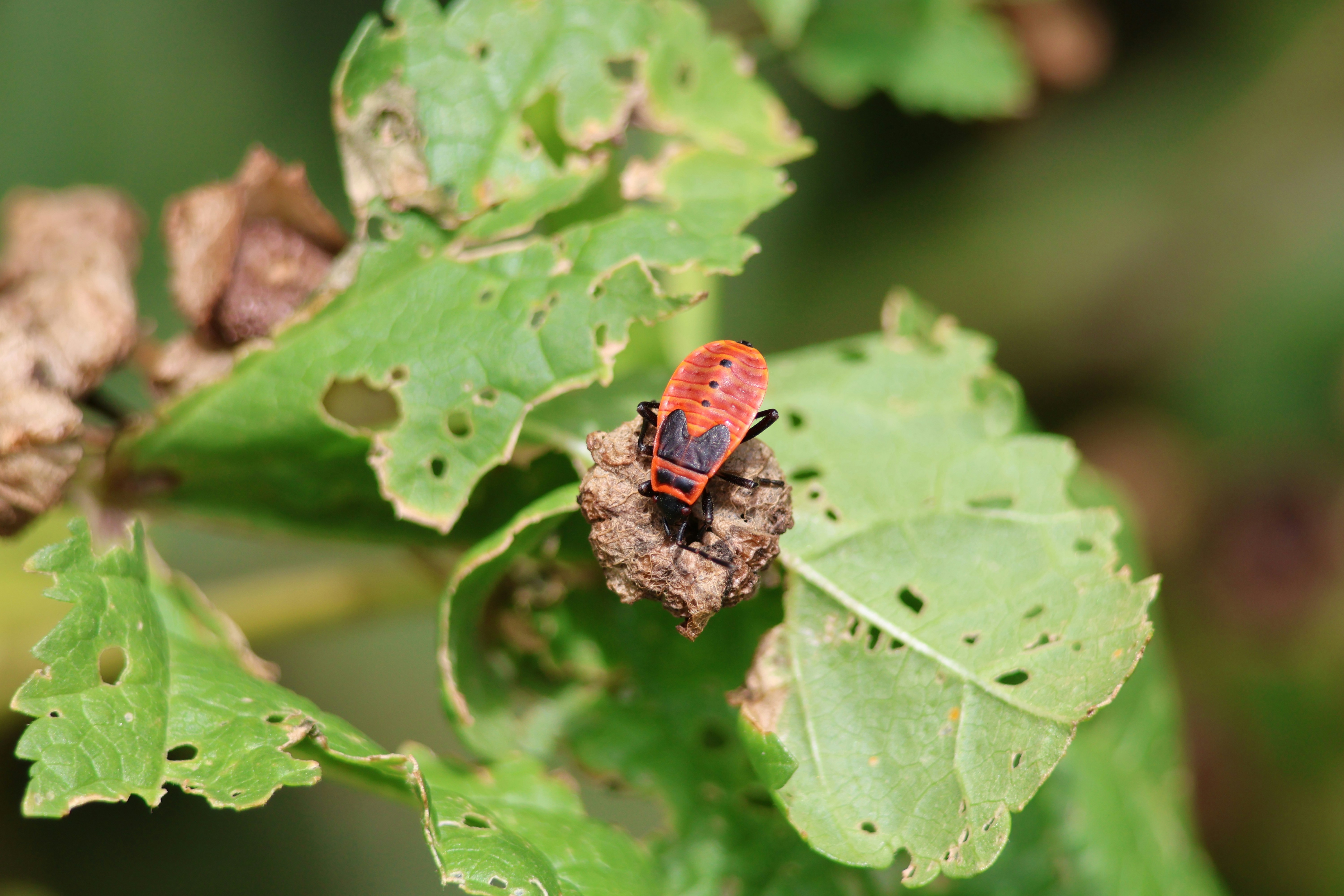 Photo by shooter__andy