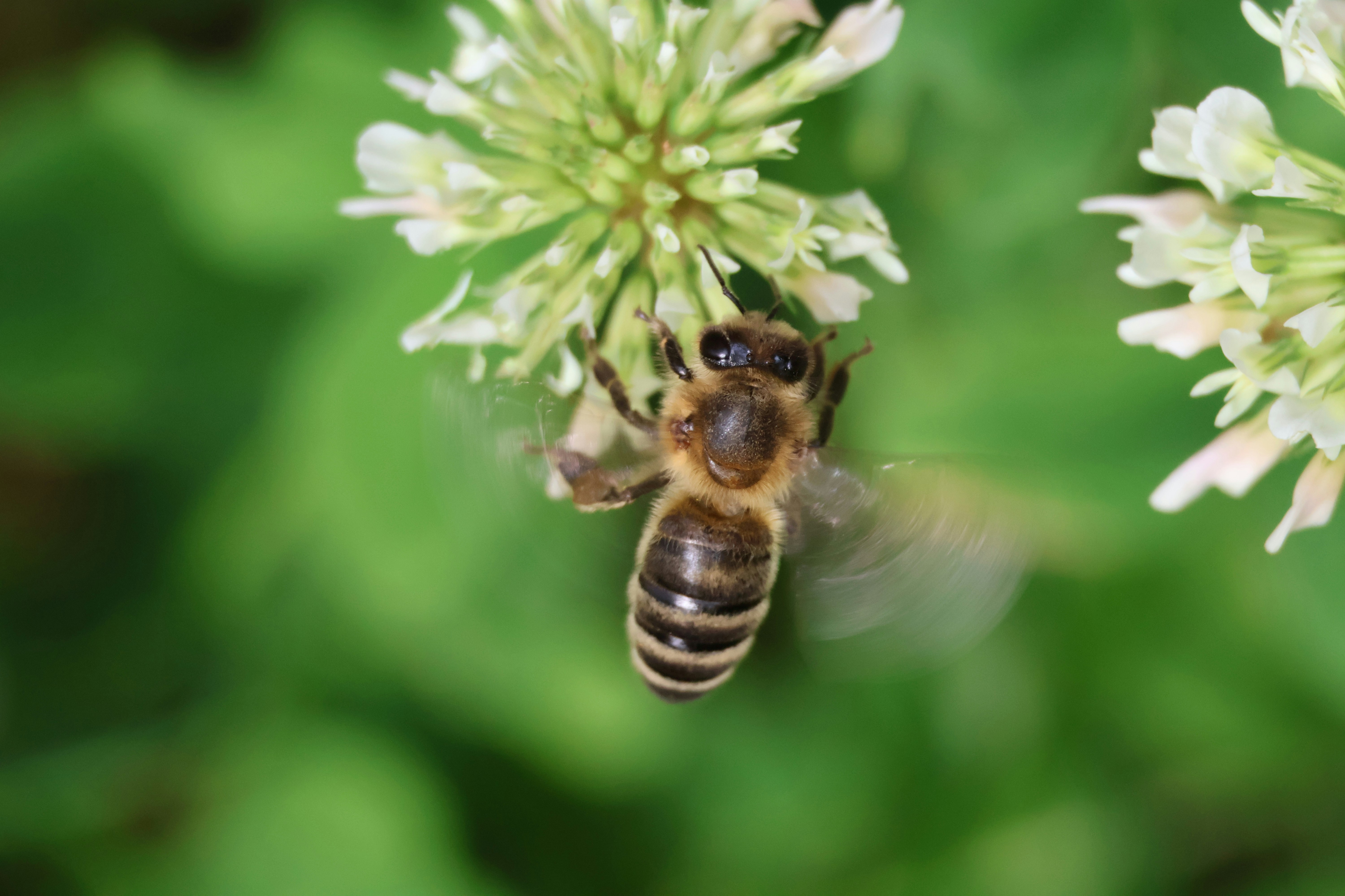 Photo by shooter__andy