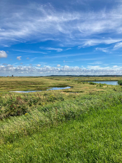 A grassy field with a river running through it