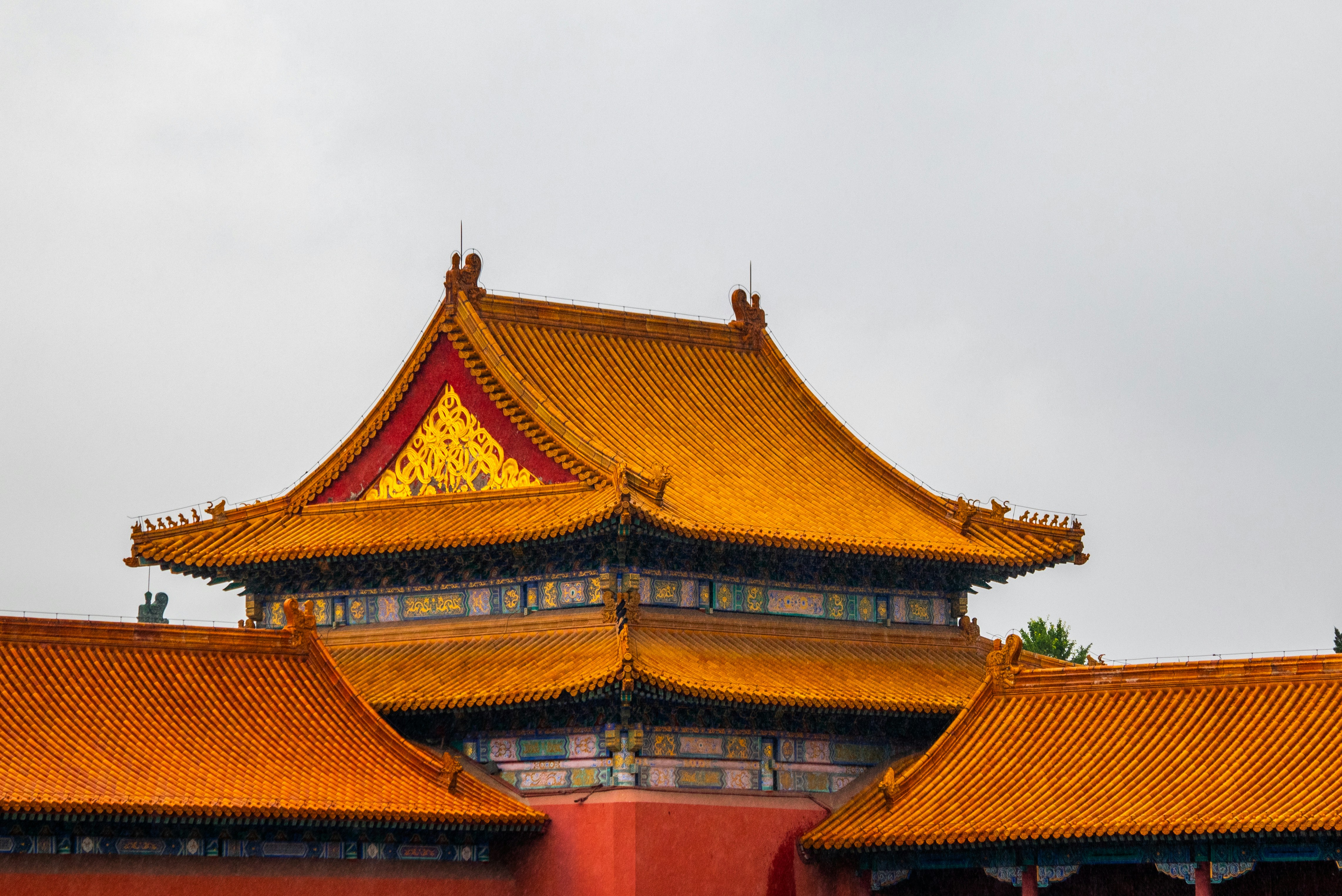 Photo by woomantsing