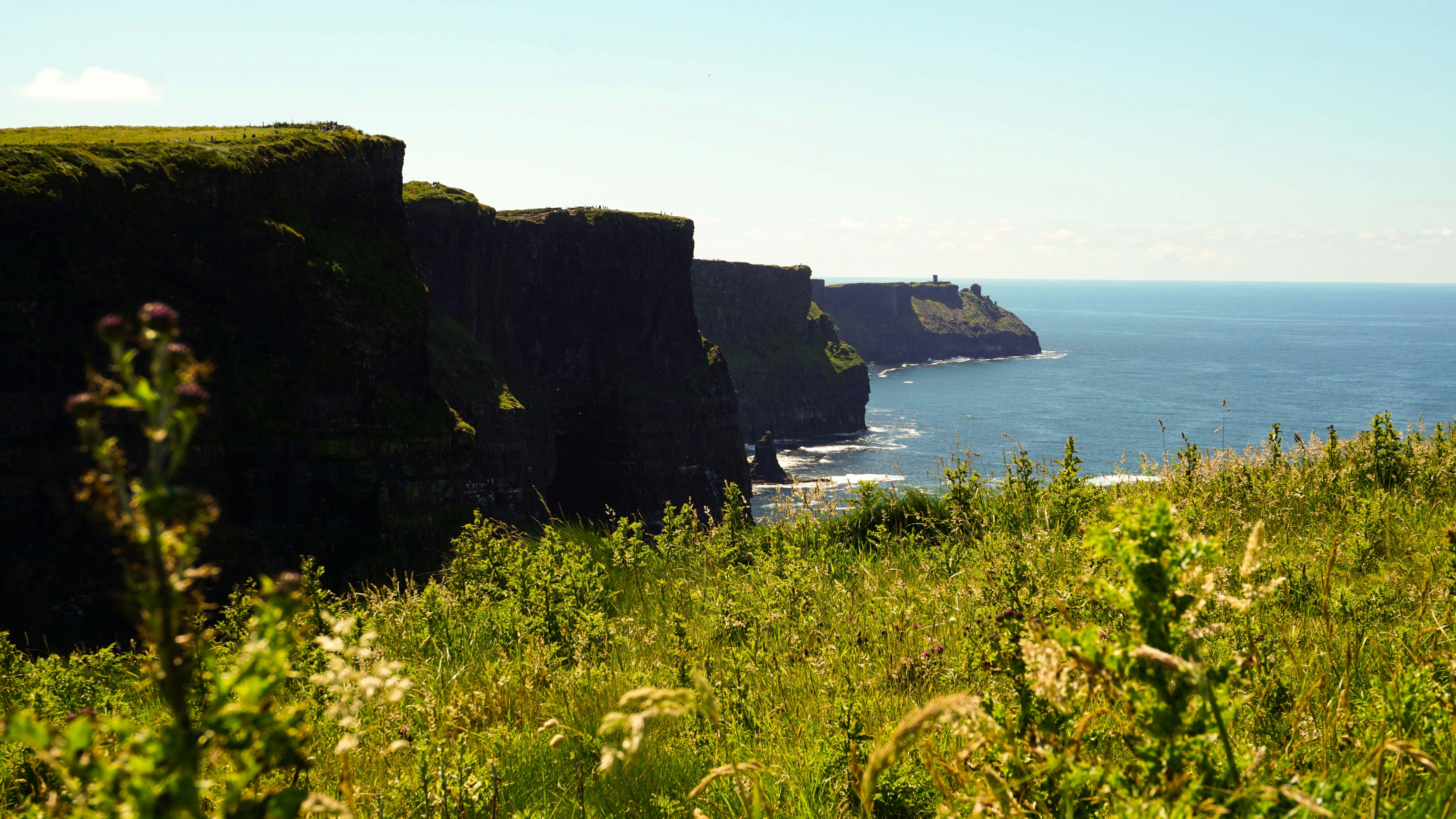 Photo by anjaleemingbecker