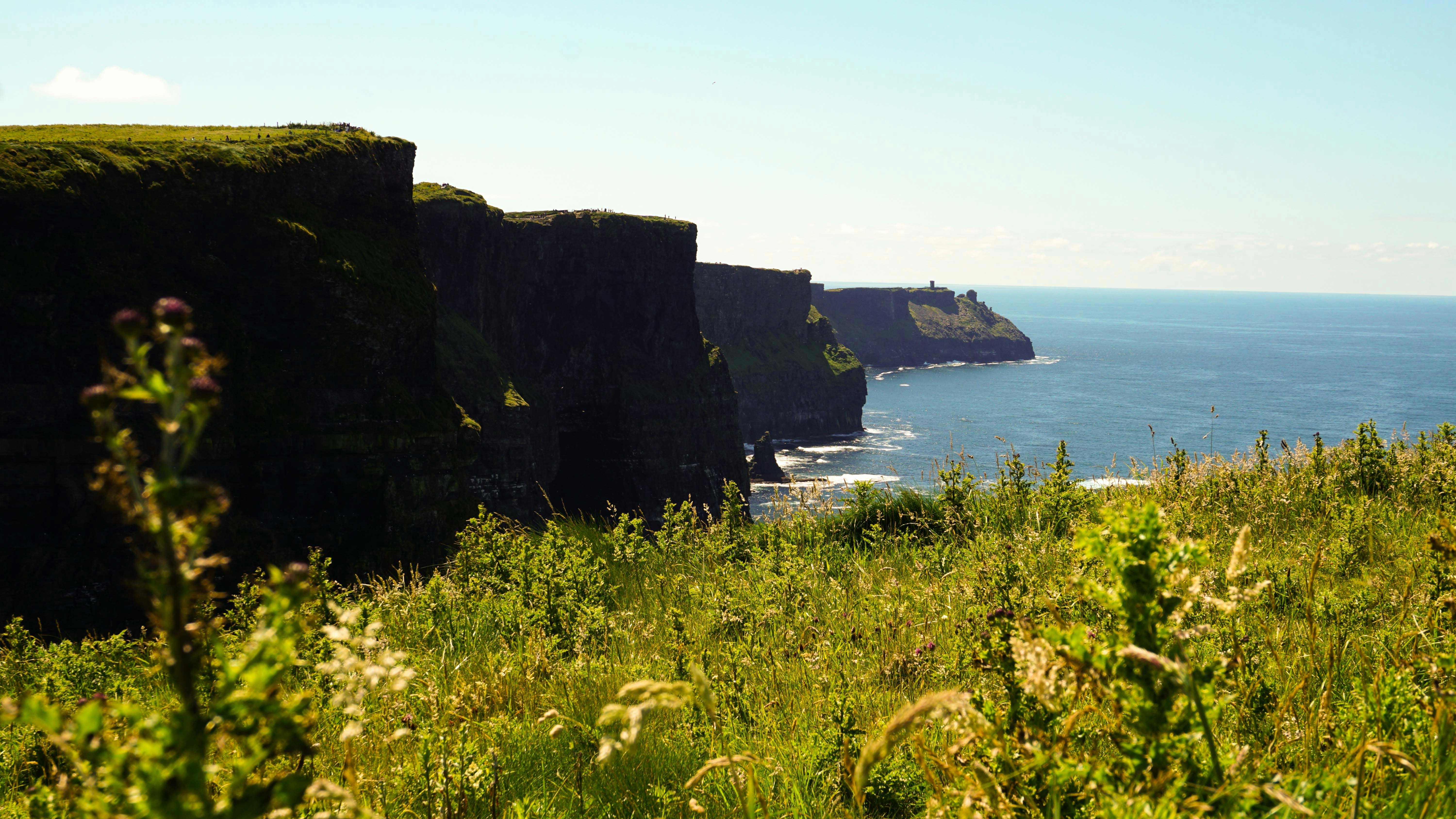 Photo by anjaleemingbecker