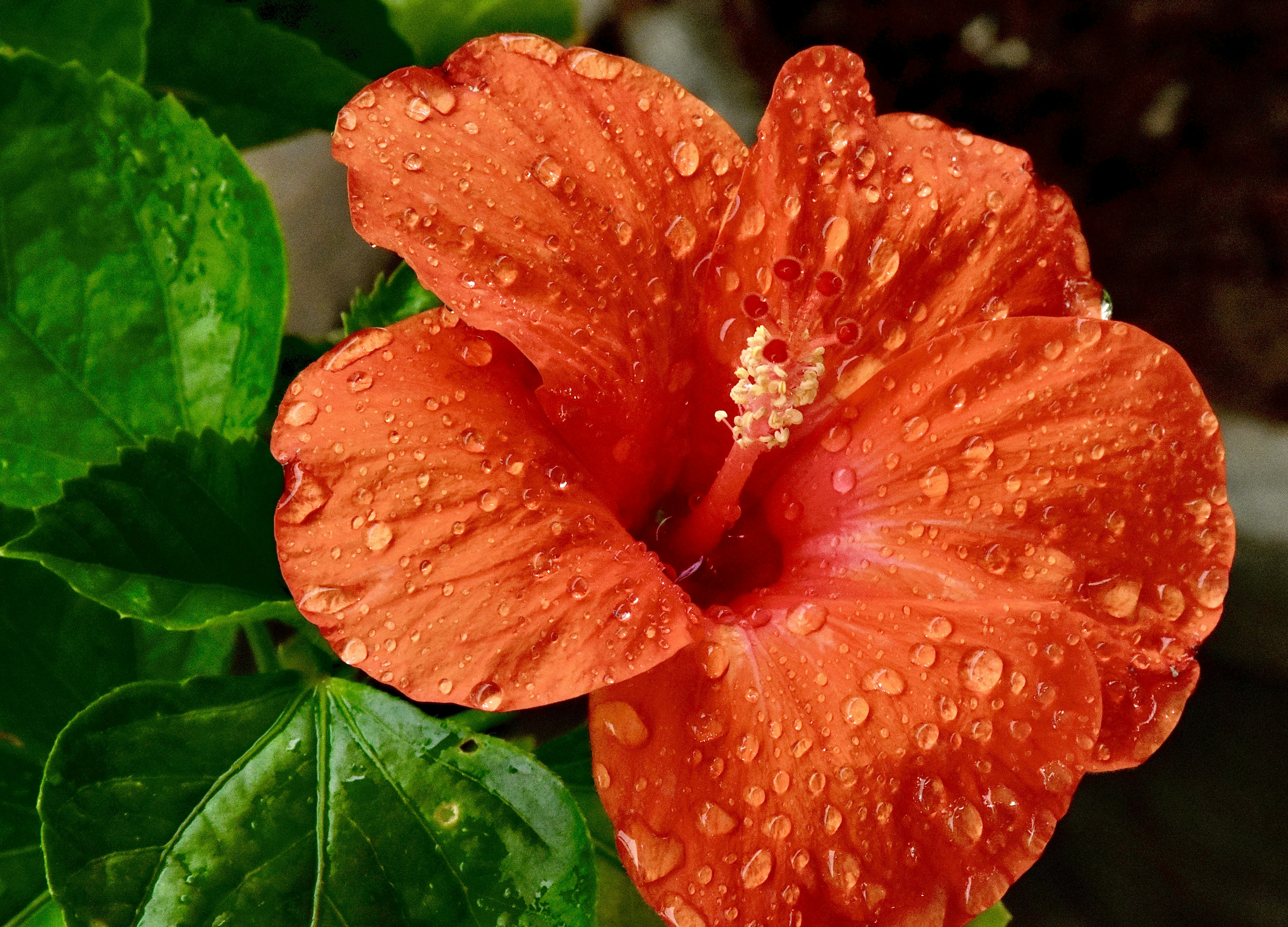 Photo by sunnynath81