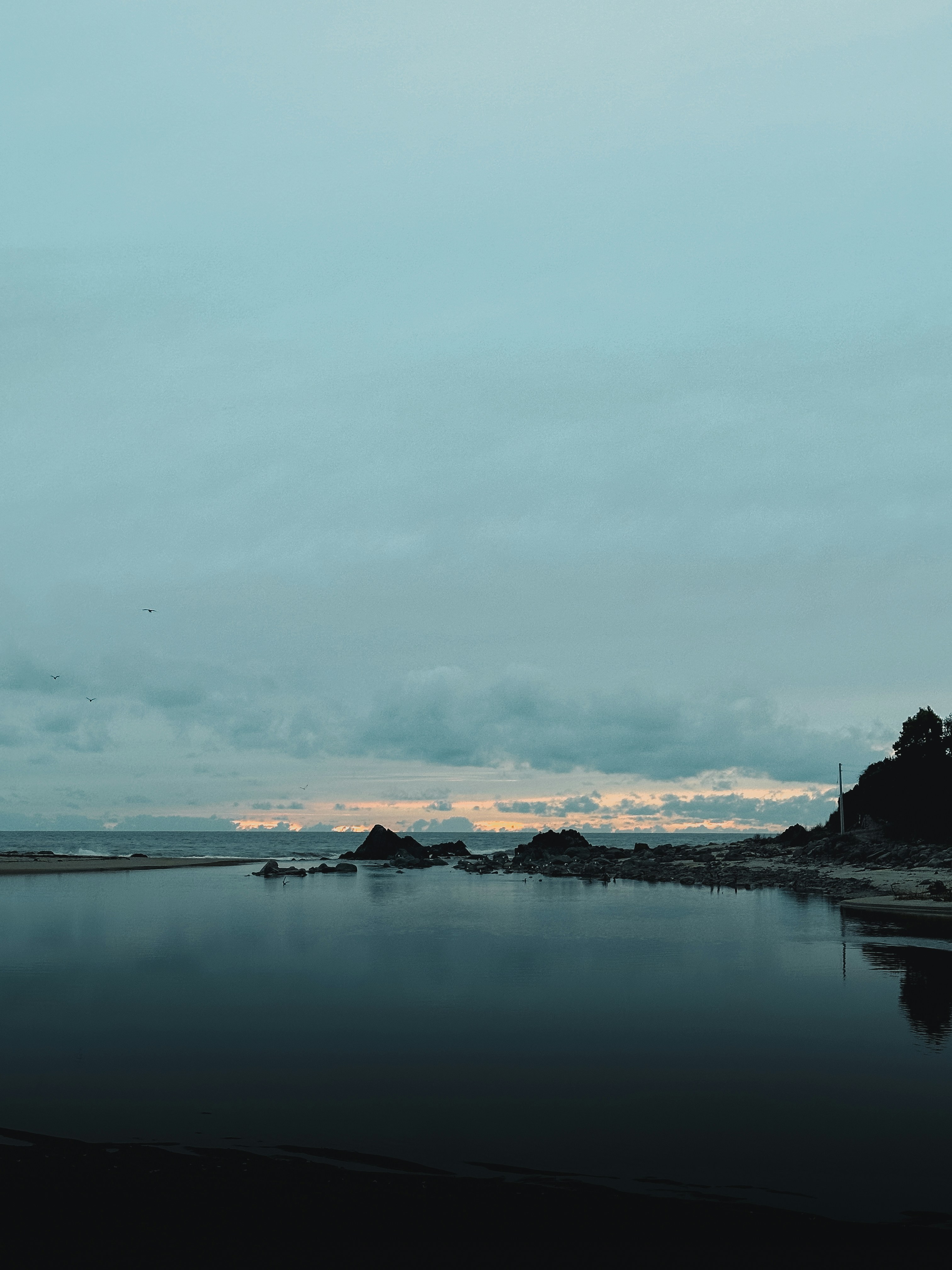 Photo by alvarordesign