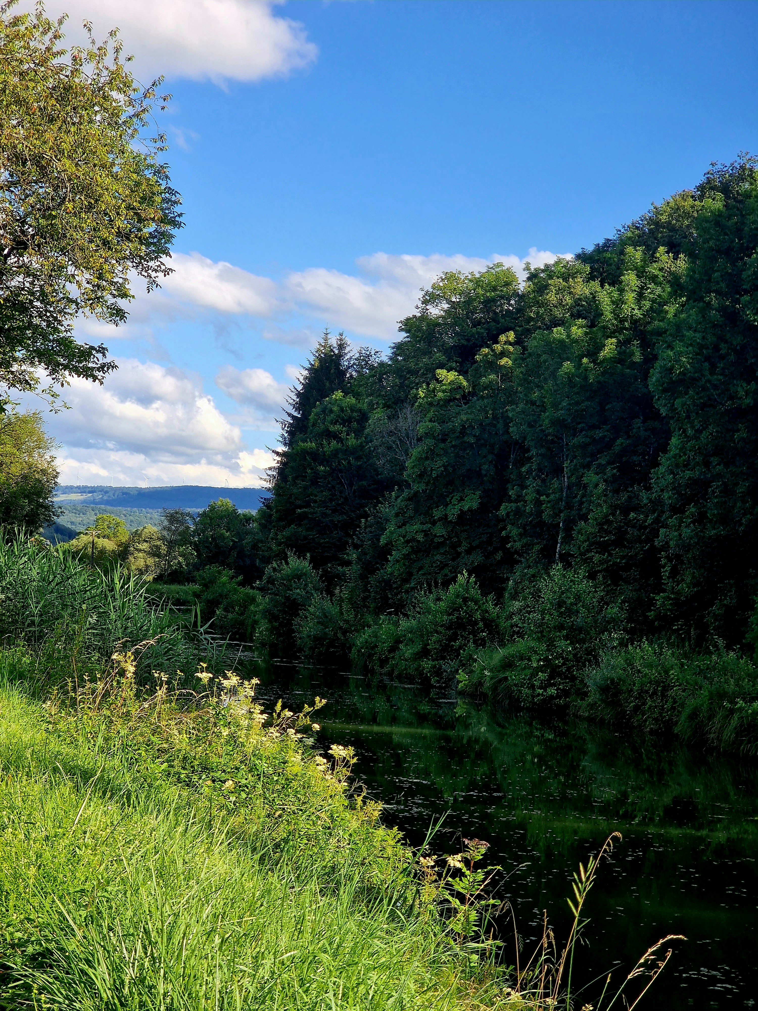 Photo by danielelarosa