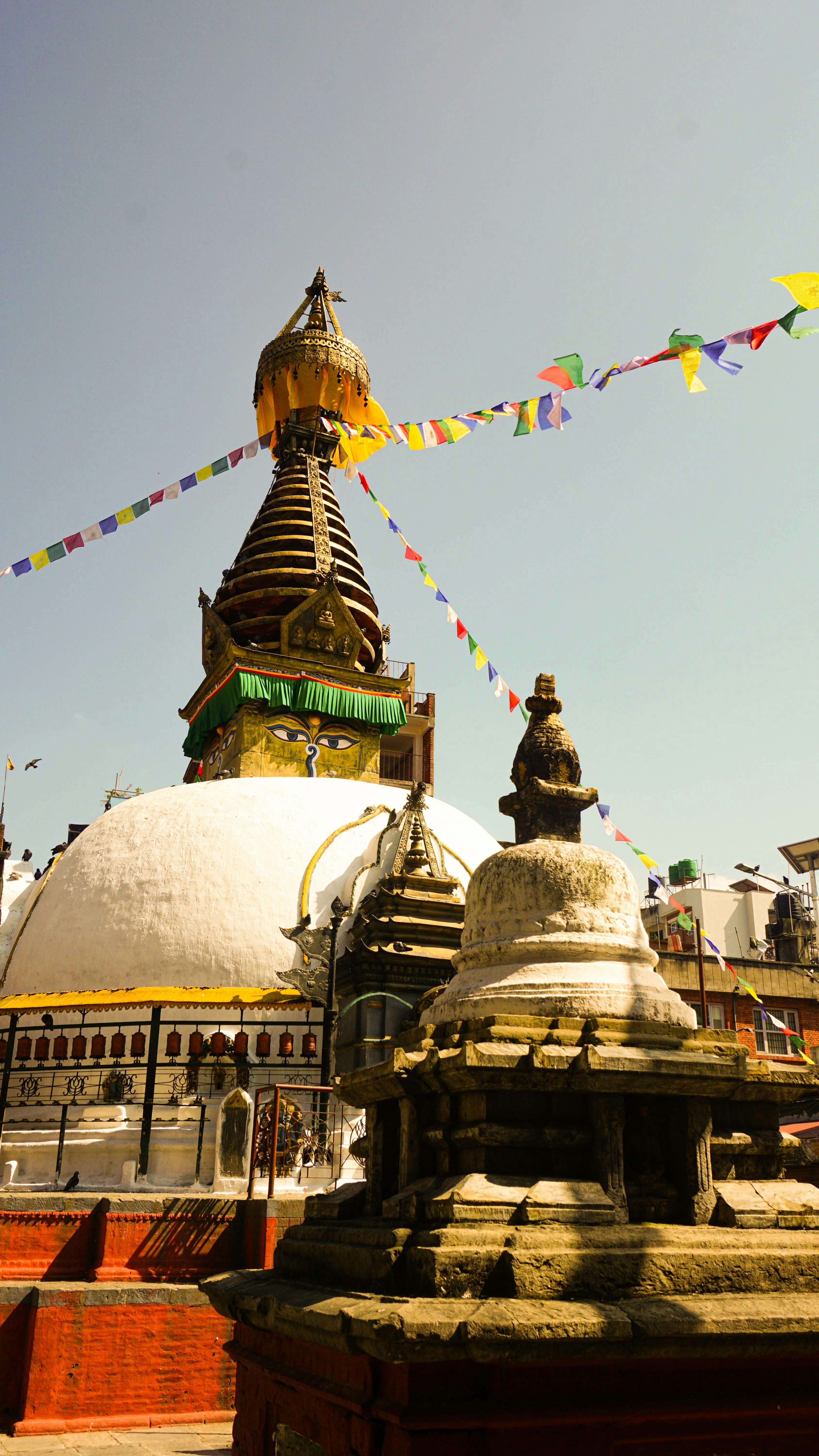 Photo by anjaleemingbecker